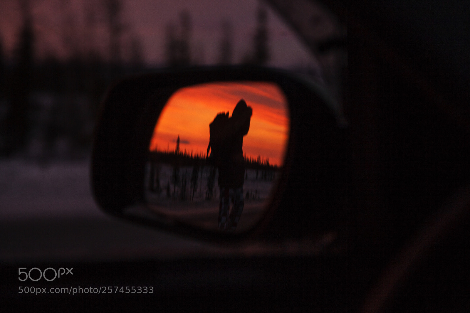 Canon EOS 5D Mark II sample photo. The tourist walks by photography