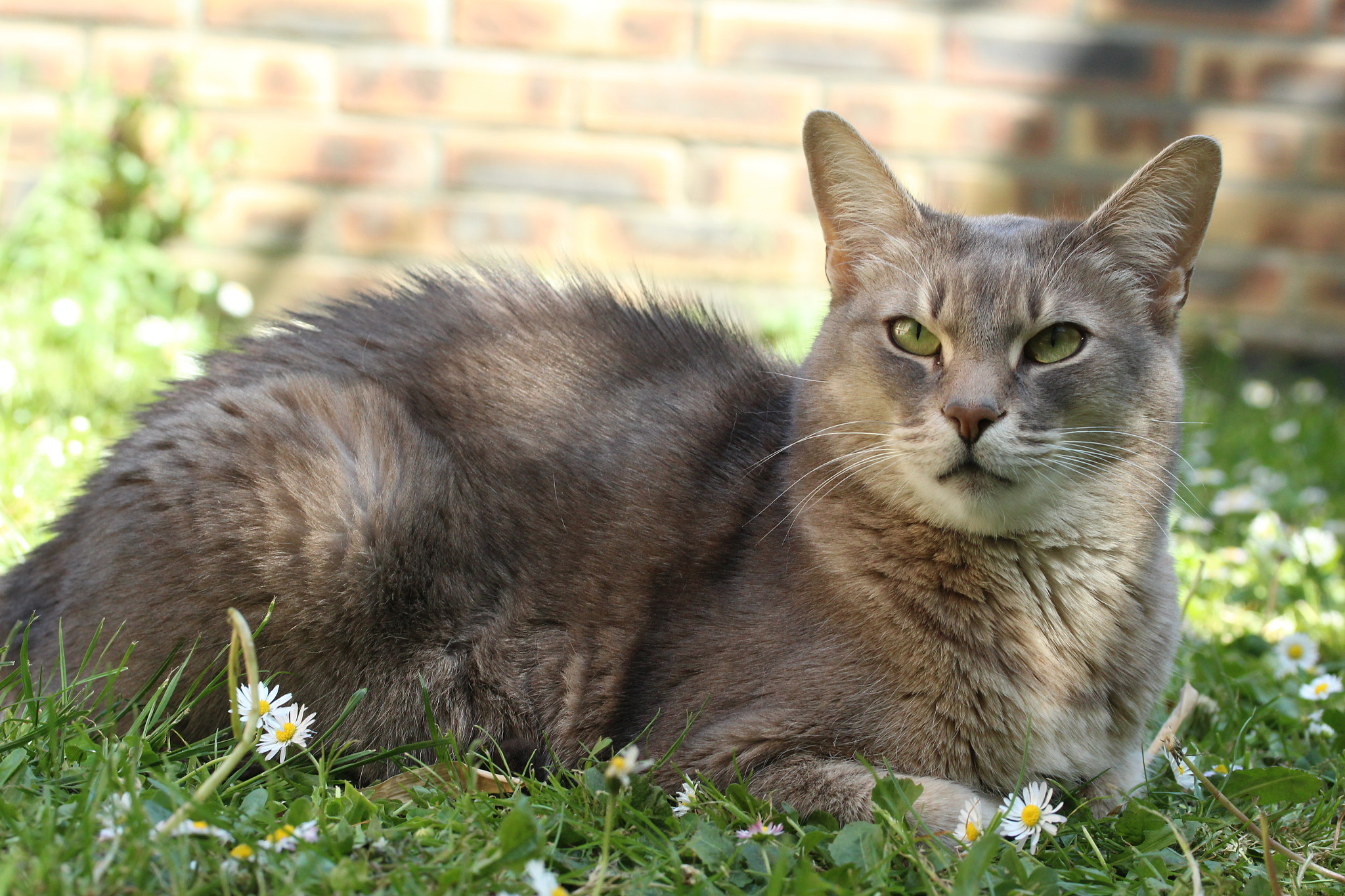 Canon EF-S 60mm F2.8 Macro USM sample photo. Img photography