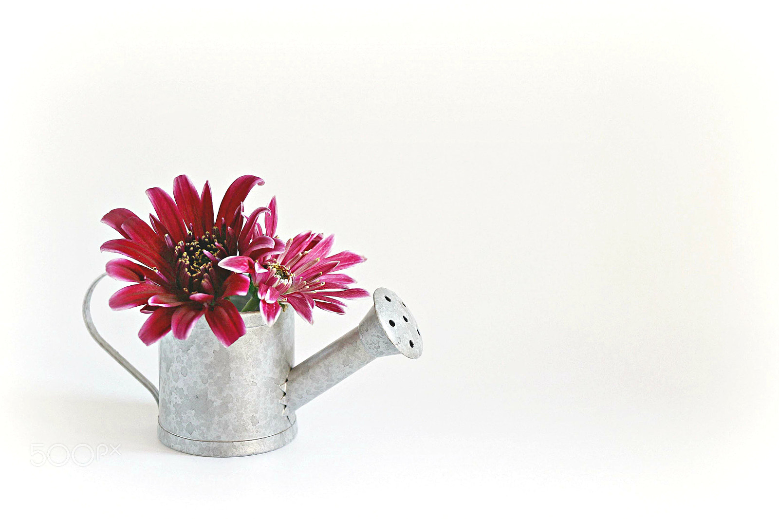 Canon EOS 70D sample photo. Flower power photography