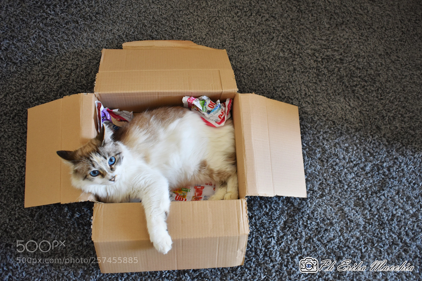 Nikon D3400 sample photo. Sky in the box photography