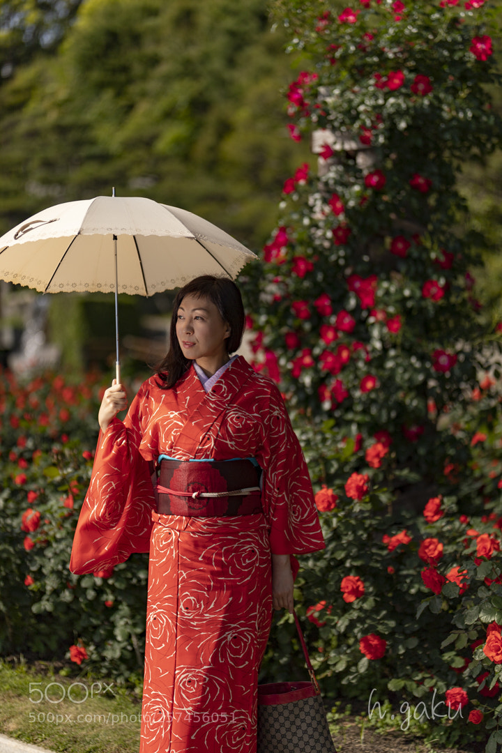 Canon EOS 6D Mark II sample photo. 離宮公園 photography