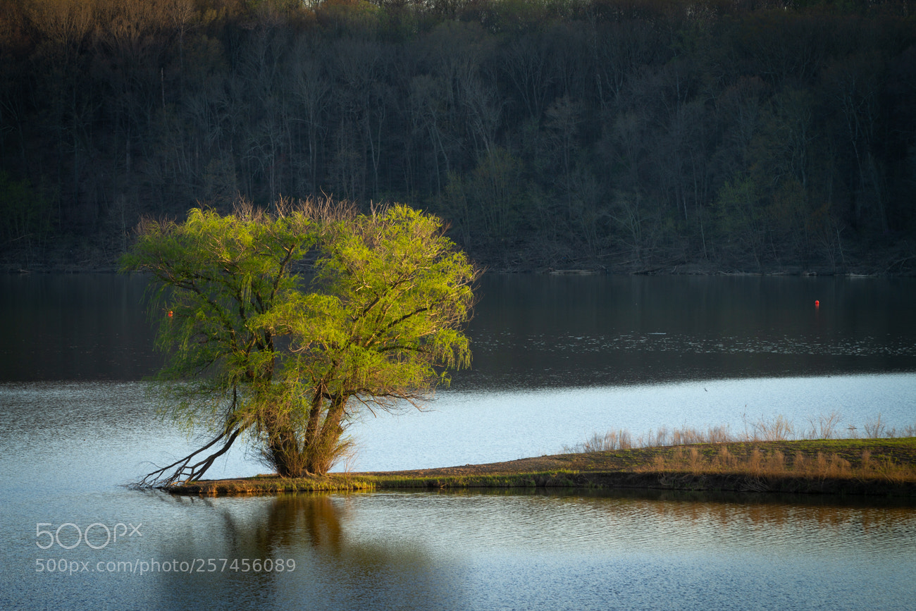 Canon EOS 7D sample photo. Standing strong photography