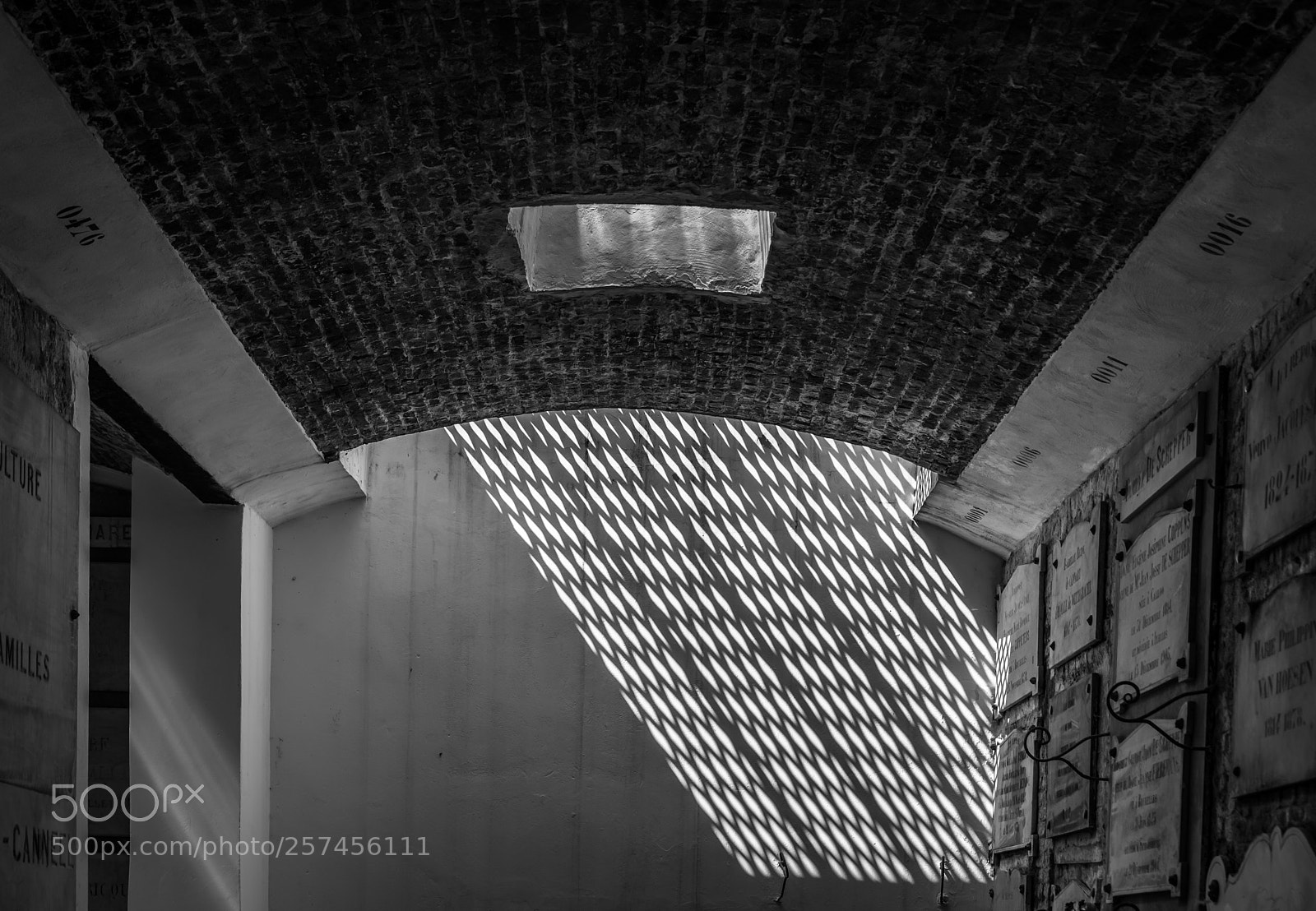 Nikon D750 sample photo. Shadow patterns photography