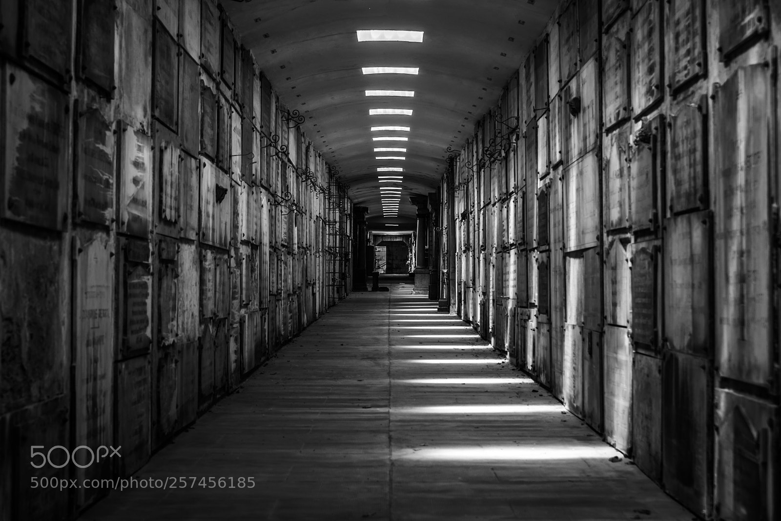 Nikon D750 sample photo. The catacombs light and photography