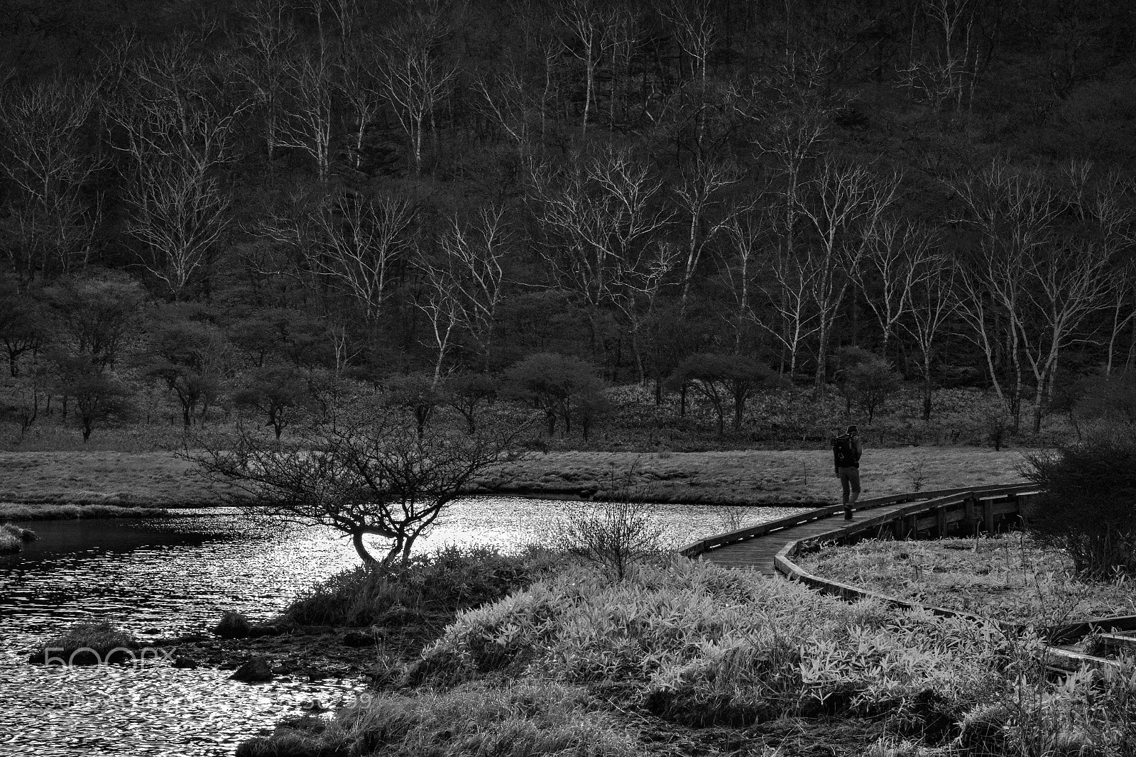 Sony a9 sample photo. A quiet morning photography