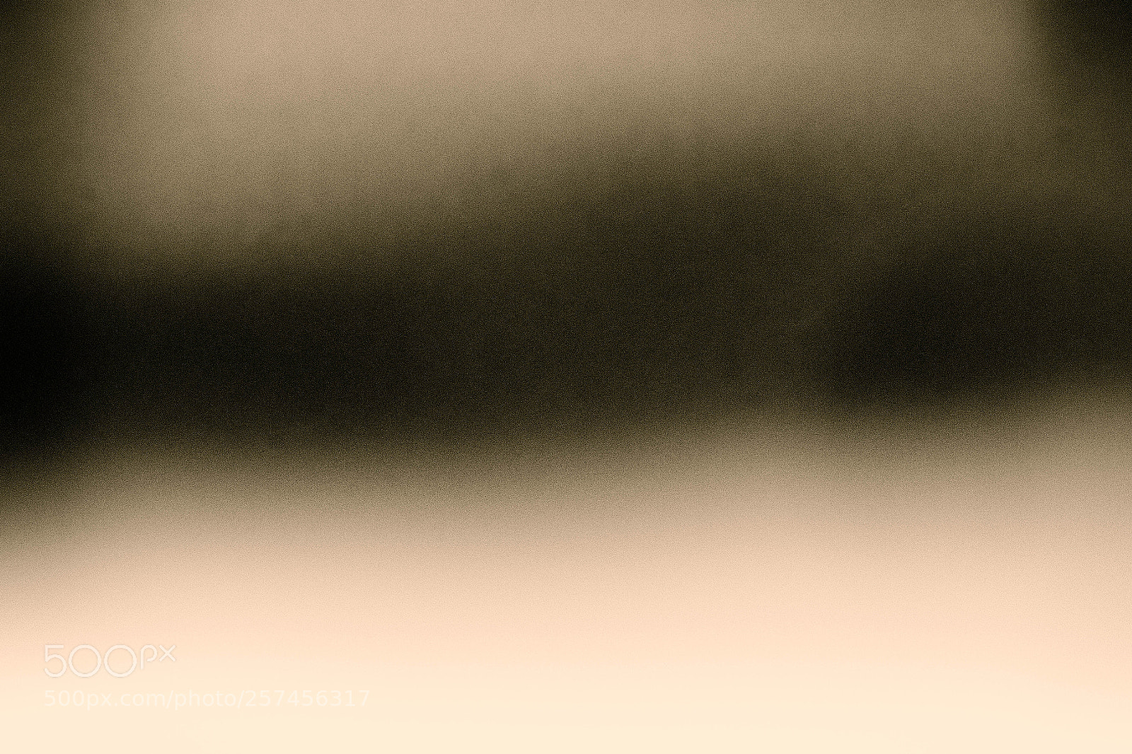 Canon EOS 7D Mark II sample photo. The meeting photography