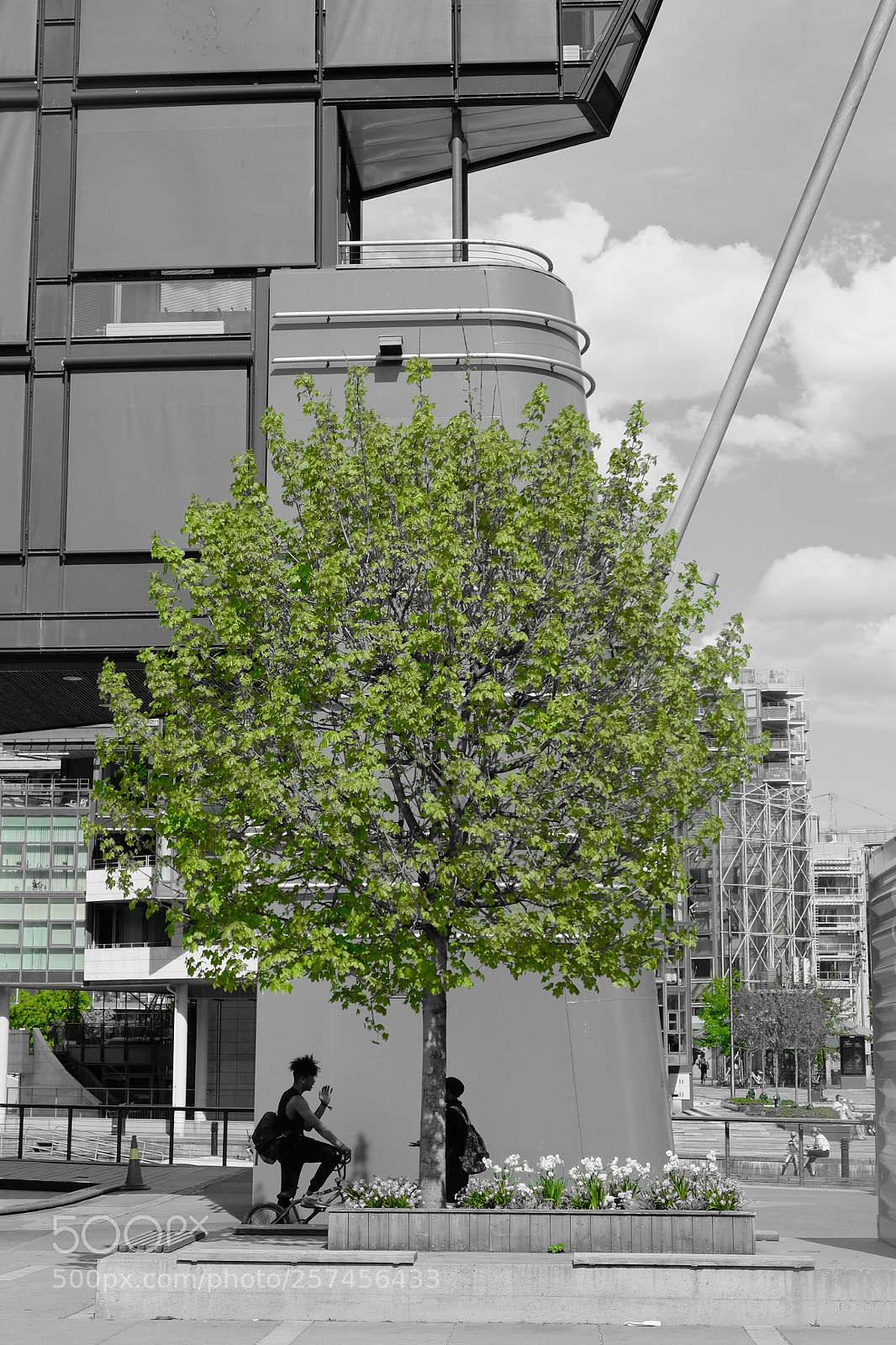 Fujifilm X-T20 sample photo. Green city 2 photography