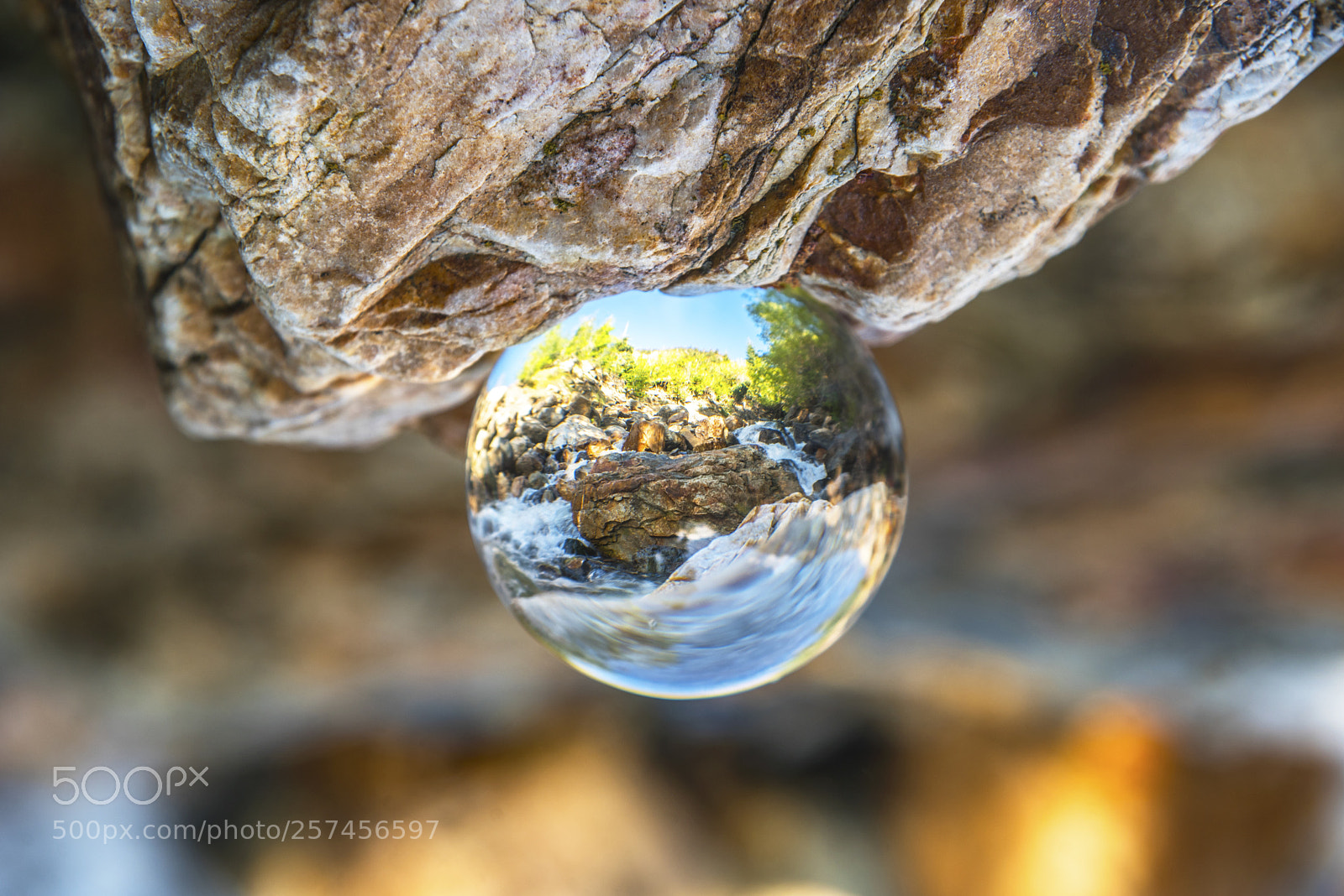 Nikon D750 sample photo. Different perspective photography