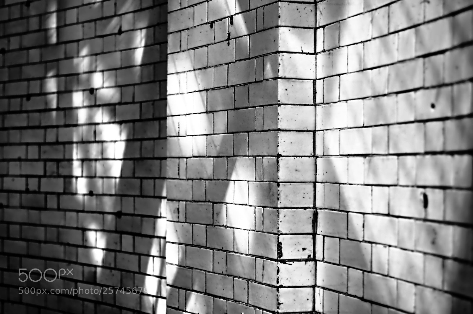Pentax K-3 II sample photo. Wall of light photography