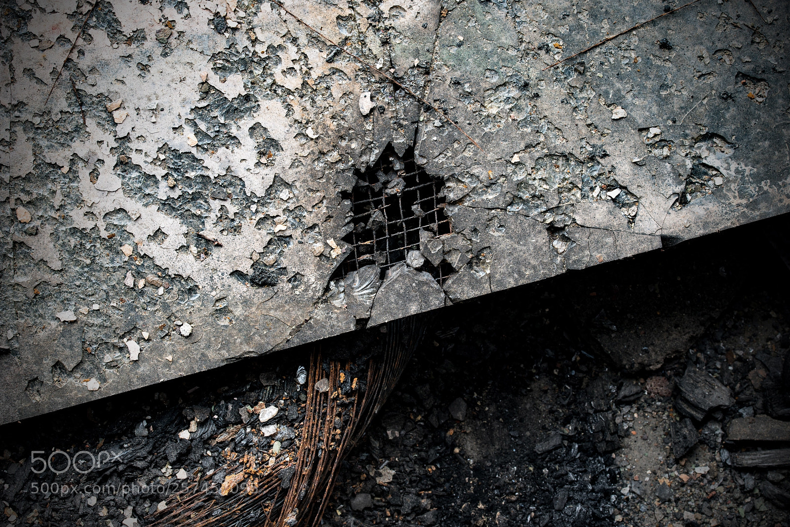Nikon D750 sample photo. Danger zone... photography