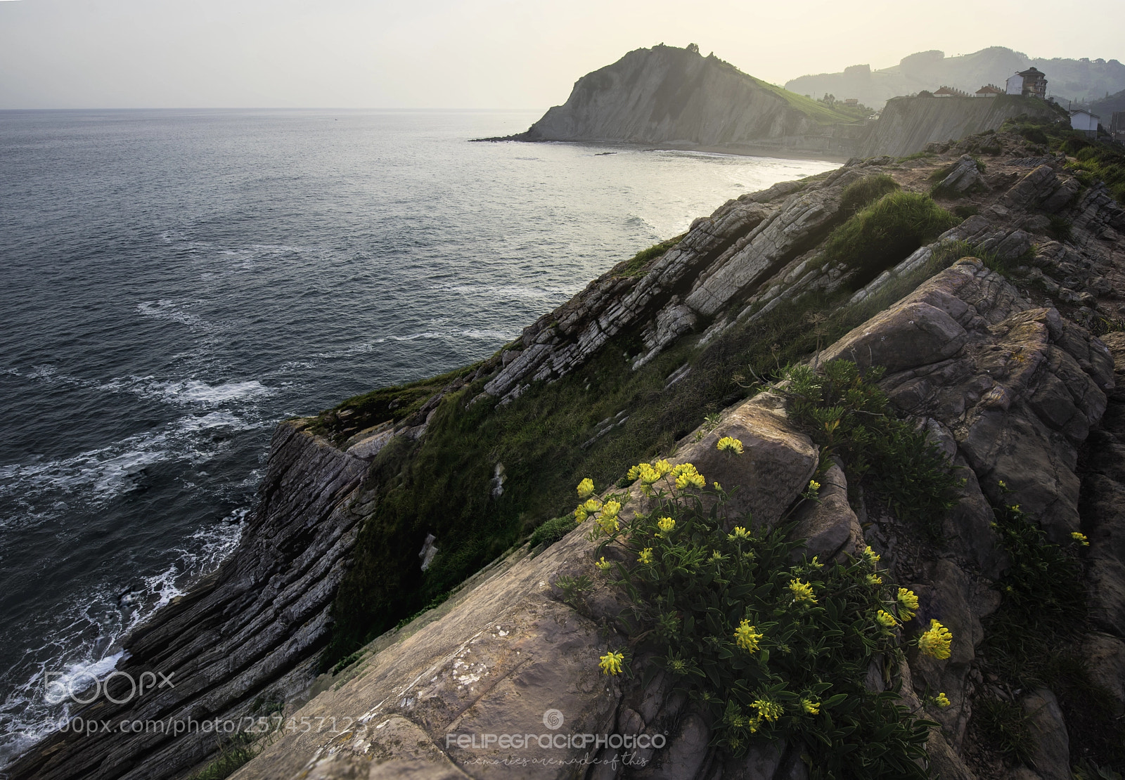 Nikon D750 sample photo. Playa itzurun photography