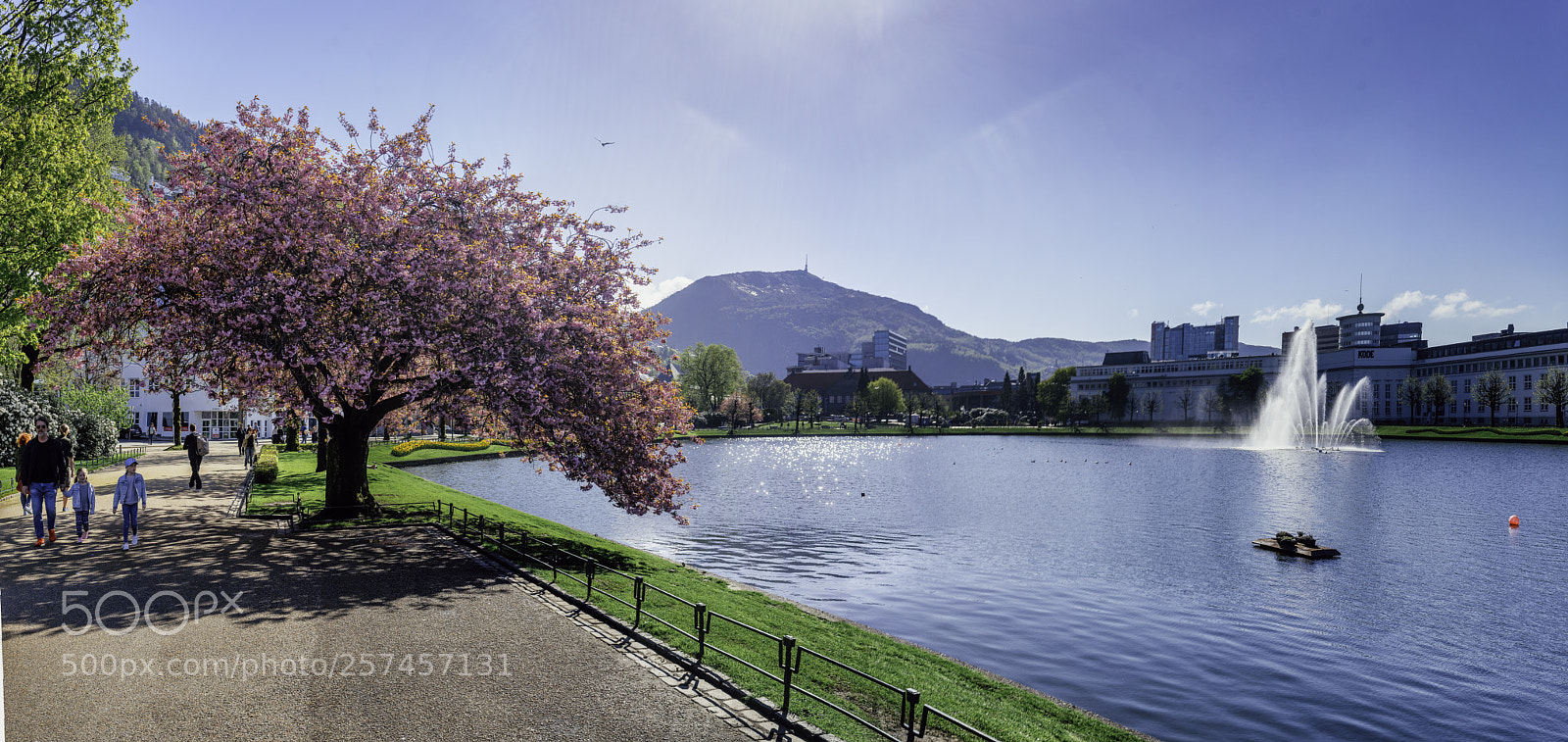Sony a7 sample photo. Spring/summer transition! photography