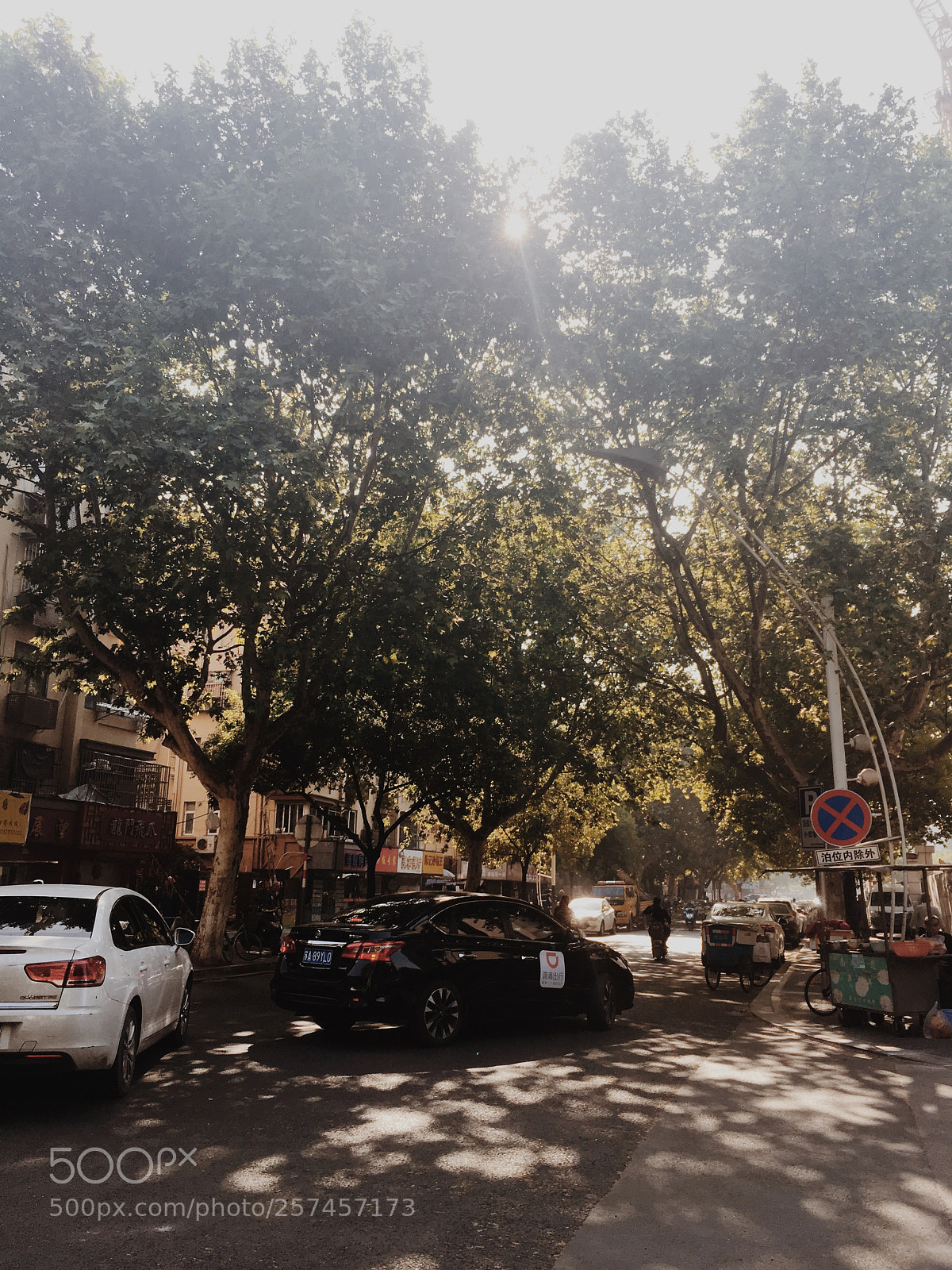 Apple iPhone SE sample photo. Summer photography