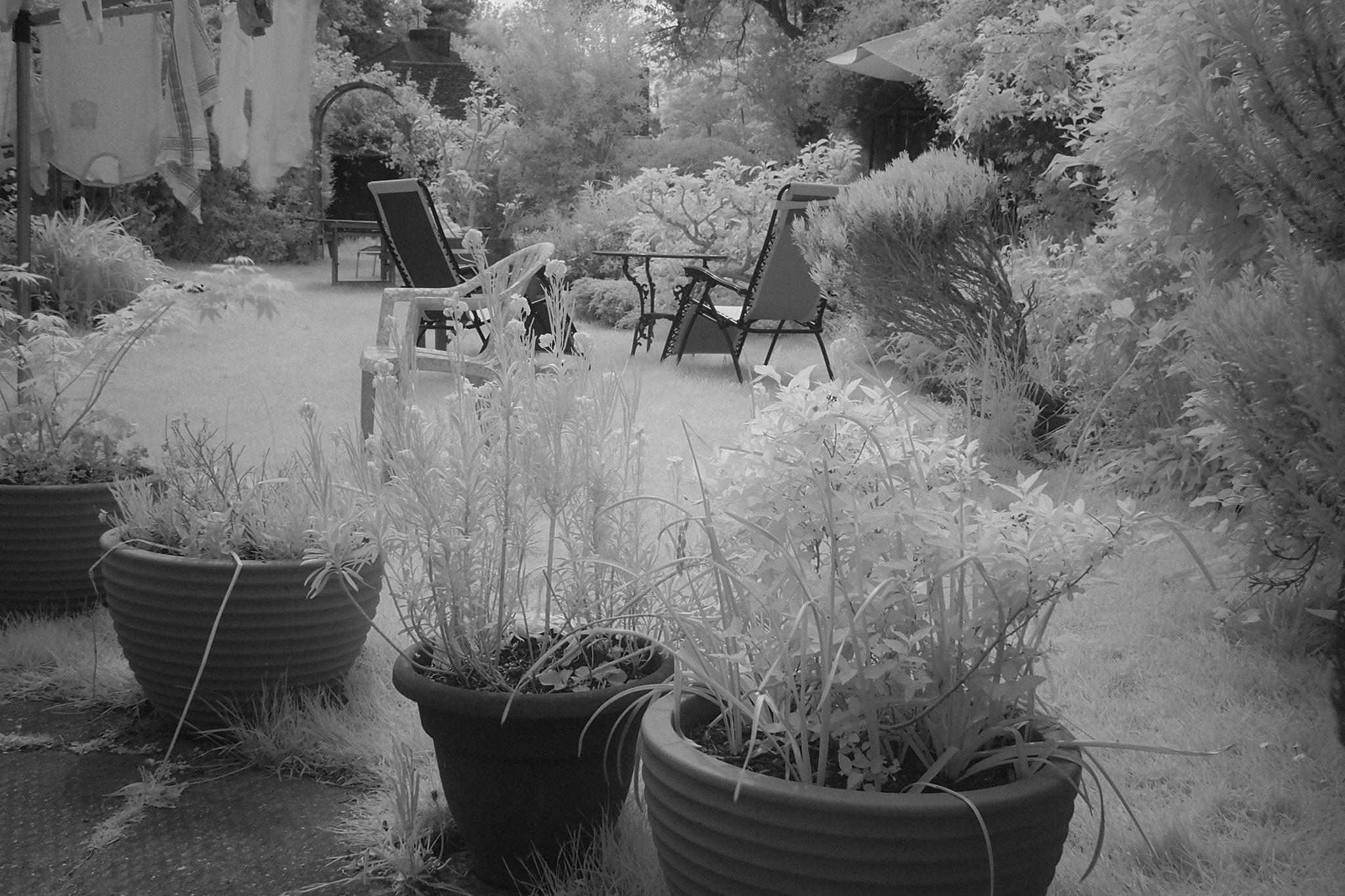 Olympus PEN E-PL1 sample photo. In the garden photography