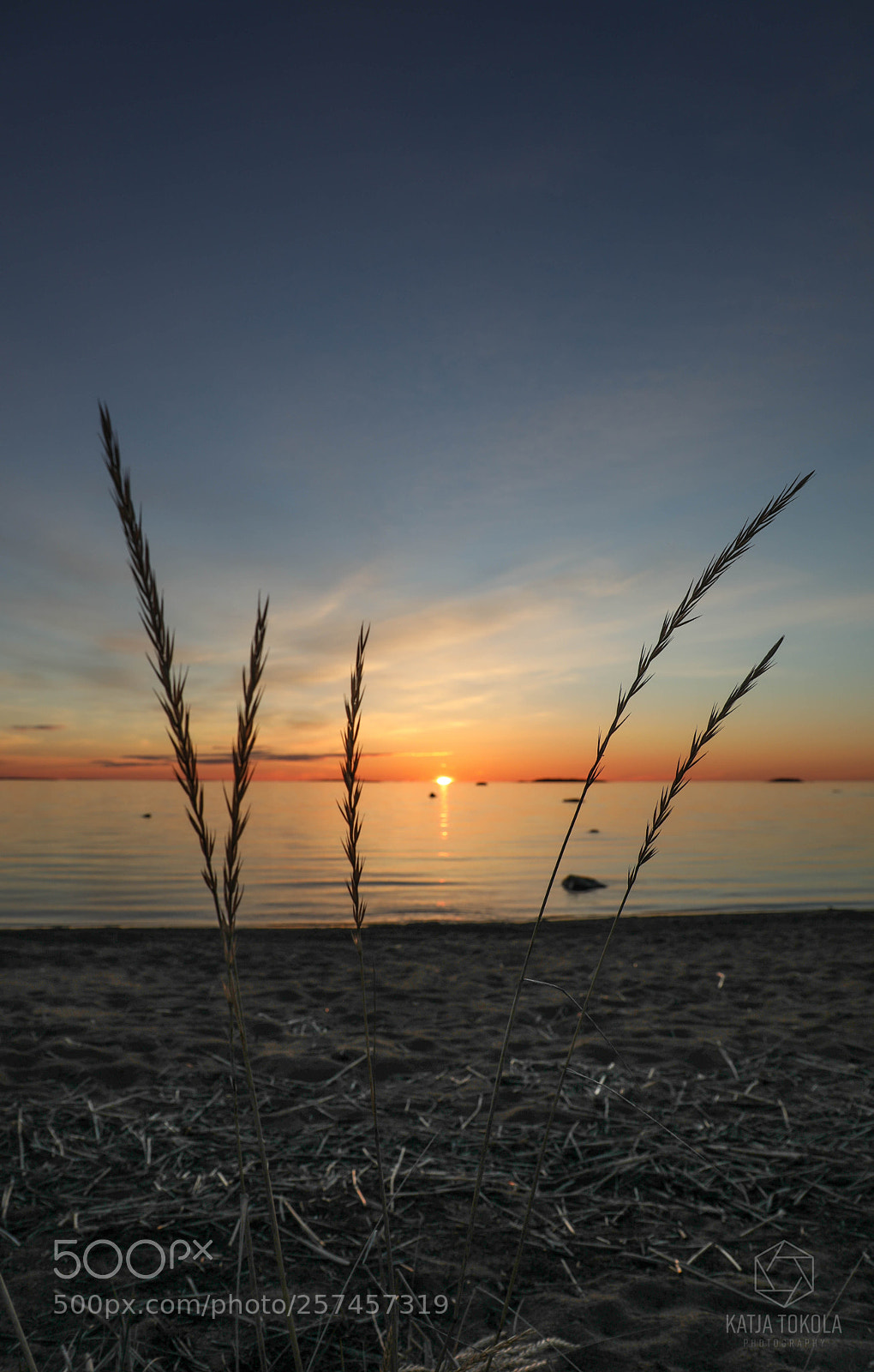 Canon EOS 5D Mark IV sample photo. Grasses photography