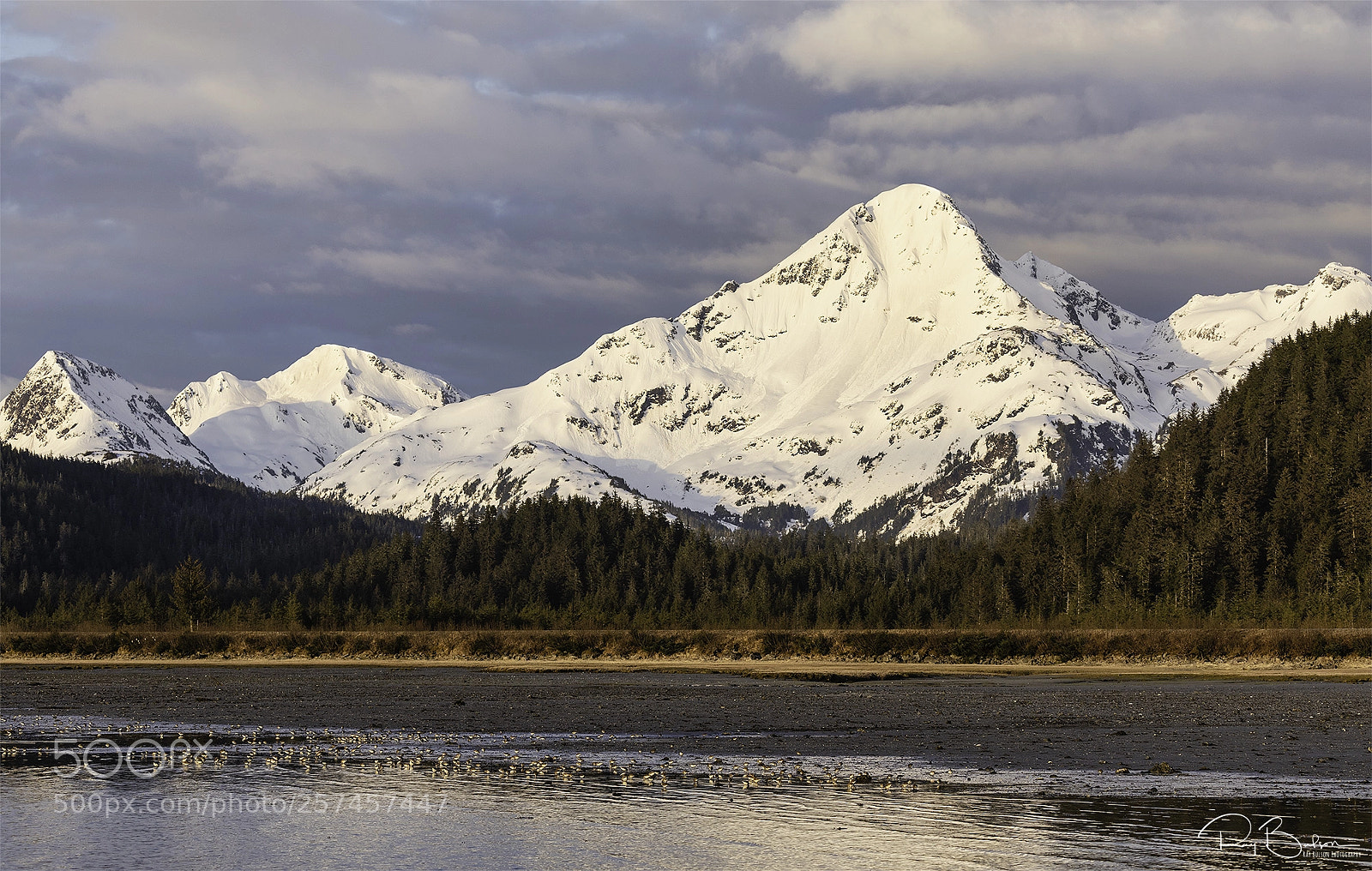 Canon EOS 5D Mark IV sample photo. Hartney bay photography