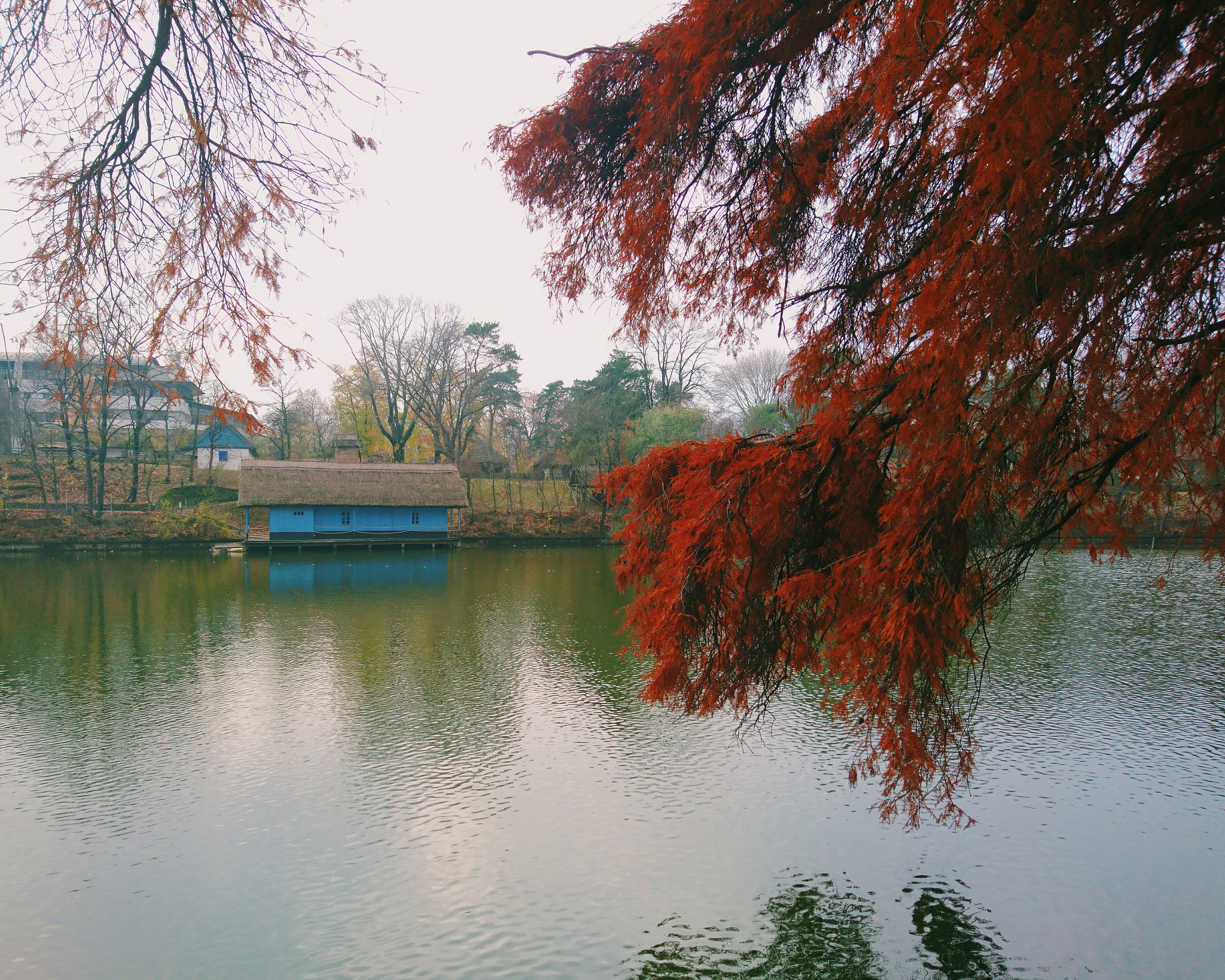 Sony Xperia X sample photo