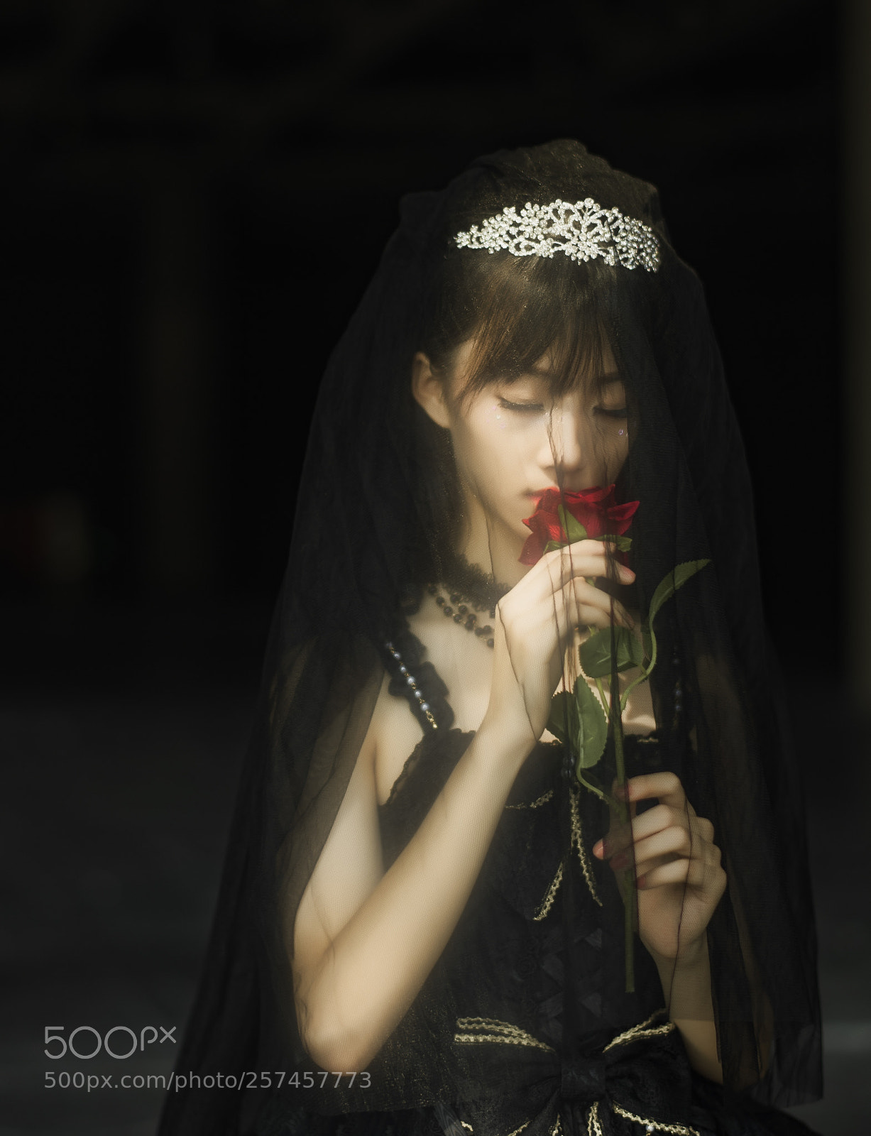 Nikon D4 sample photo. 编辑 photography