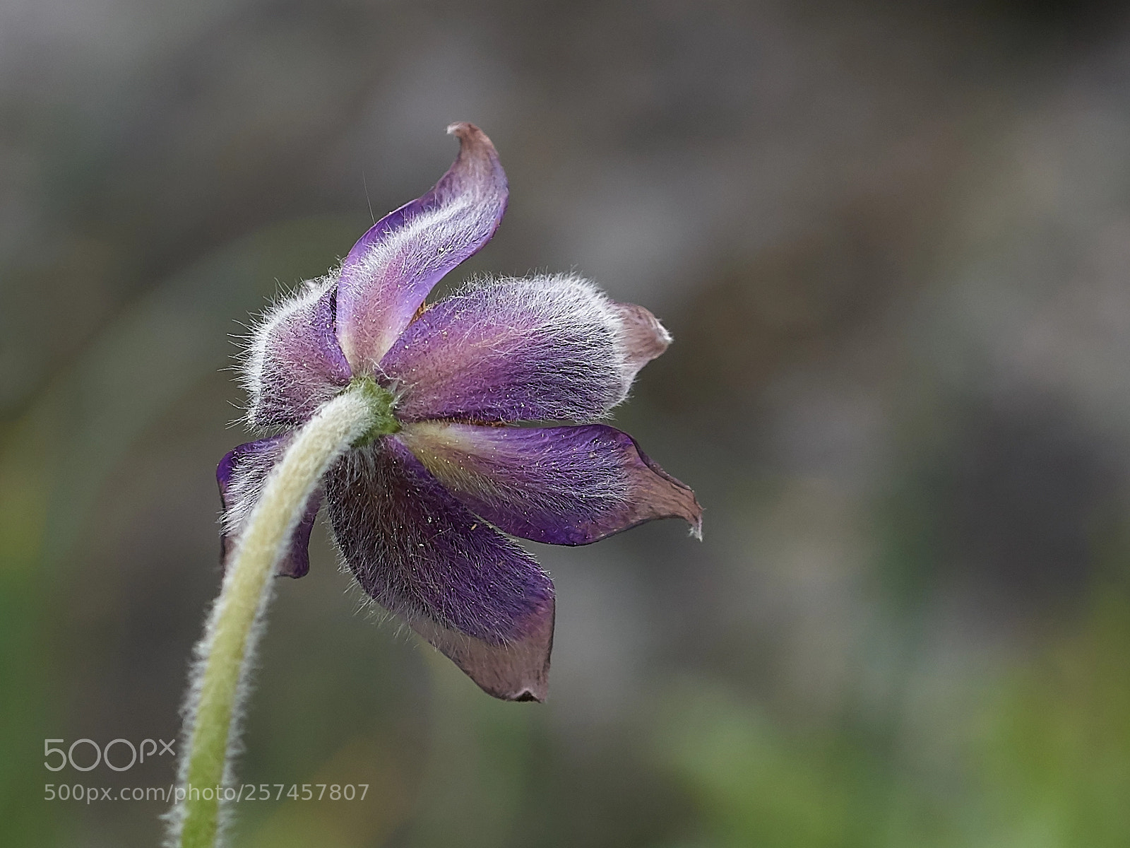 Sony ILCA-77M2 sample photo. Farben photography