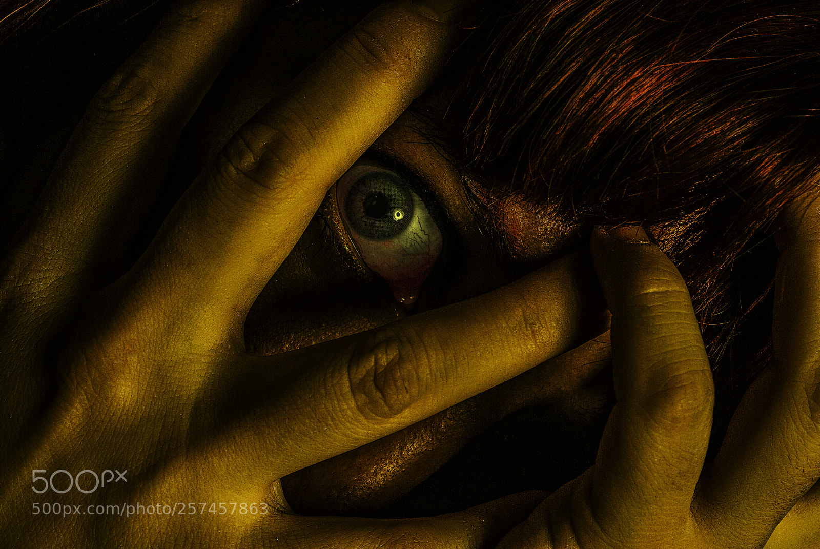 Nikon D200 sample photo. ¡feel the fear! photography