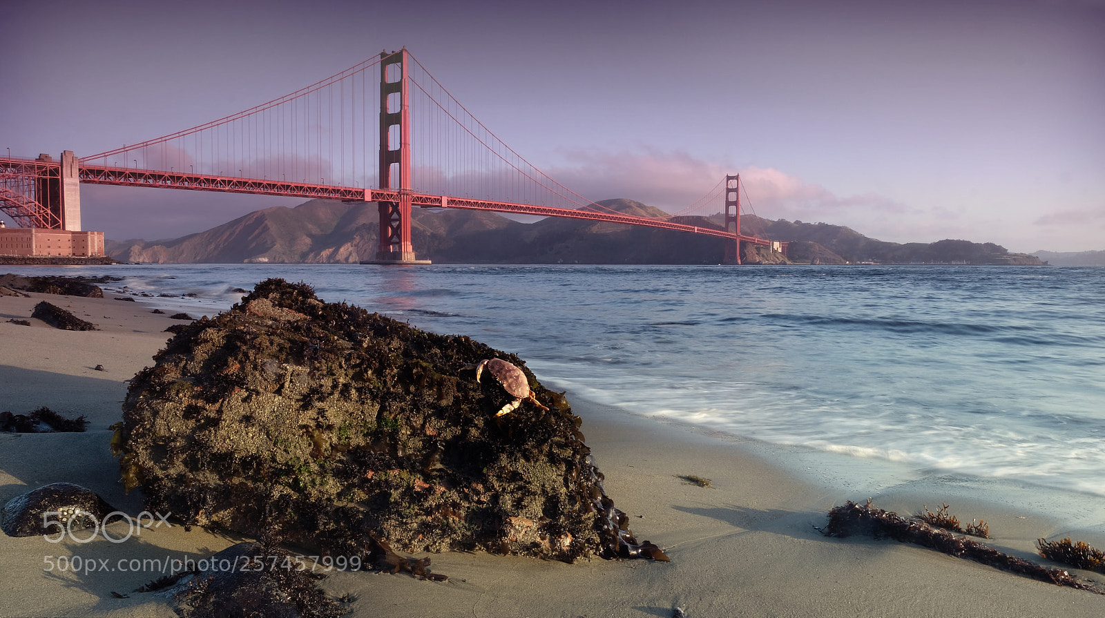Fujifilm X-T2 sample photo. Sf photography