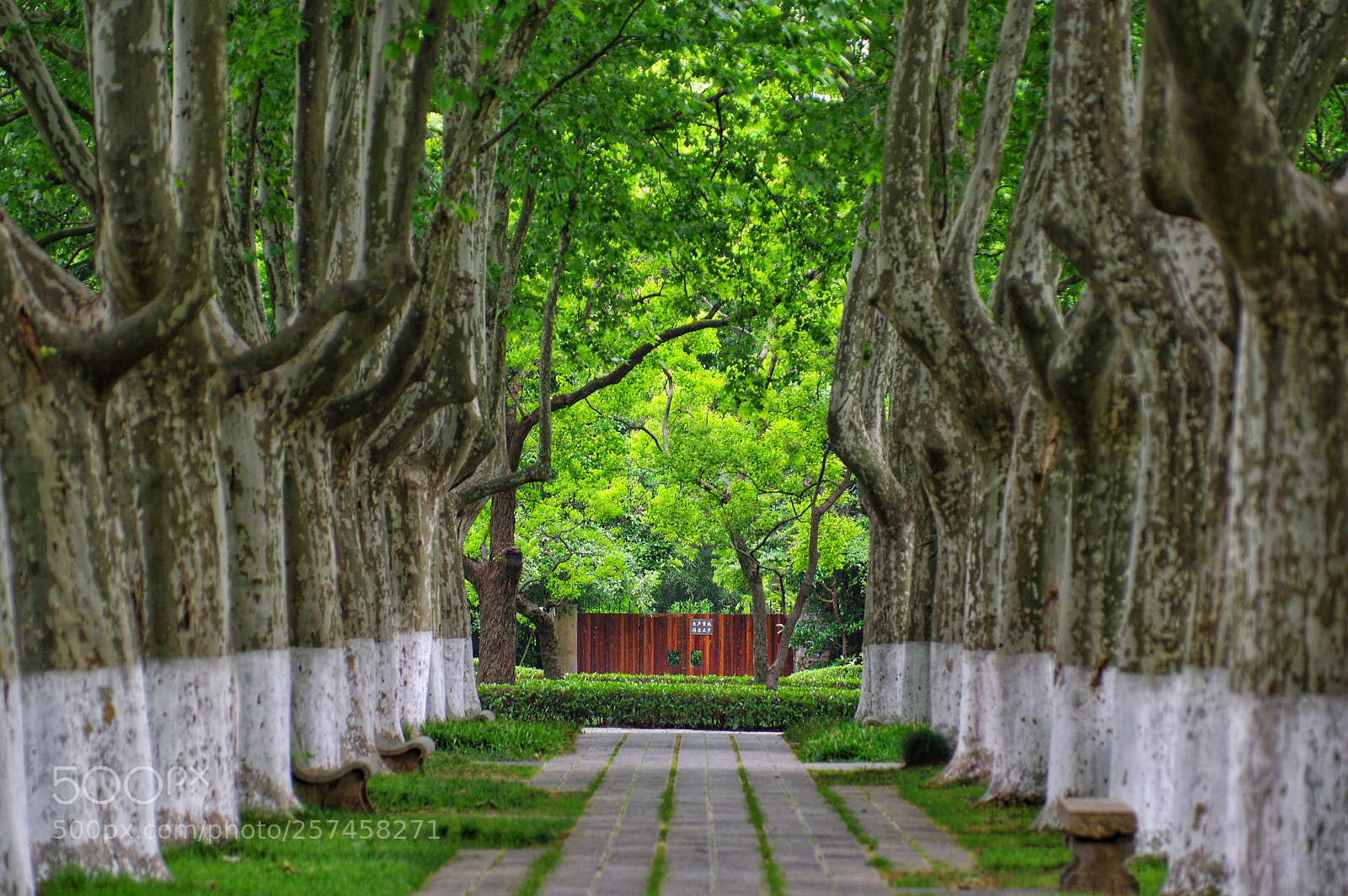 Pentax K-3 II sample photo. Untitled photography
