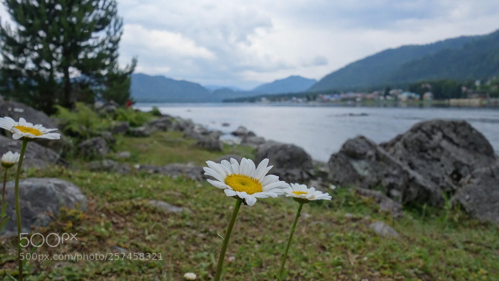 Sony Cyber-shot DSC-RX100 II sample photo. Алтай photography