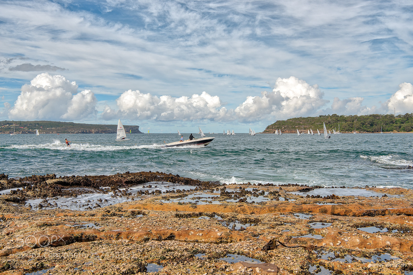 Nikon D750 sample photo. False autumn photography