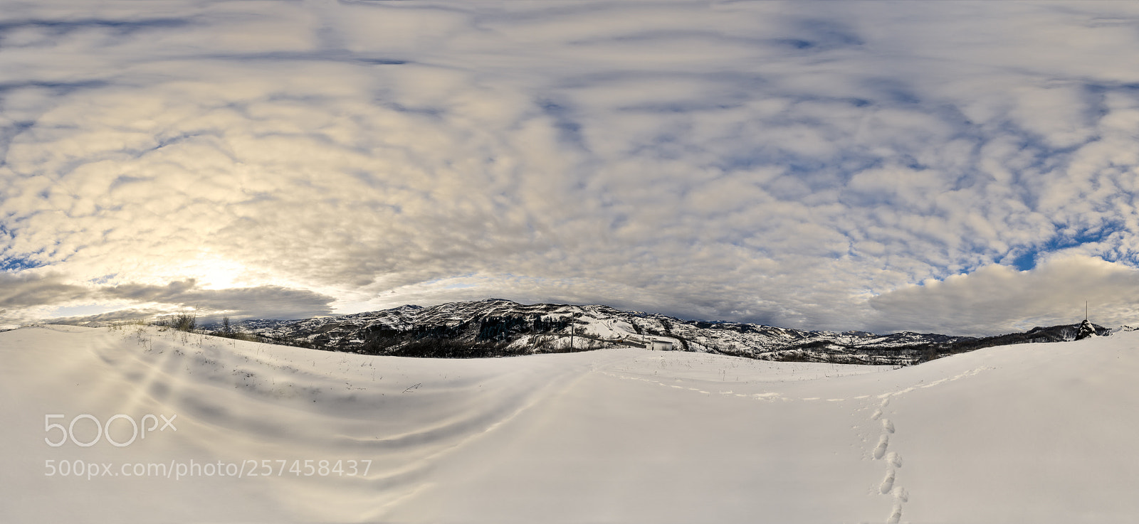 Nikon D850 sample photo. Snow footsteps photography