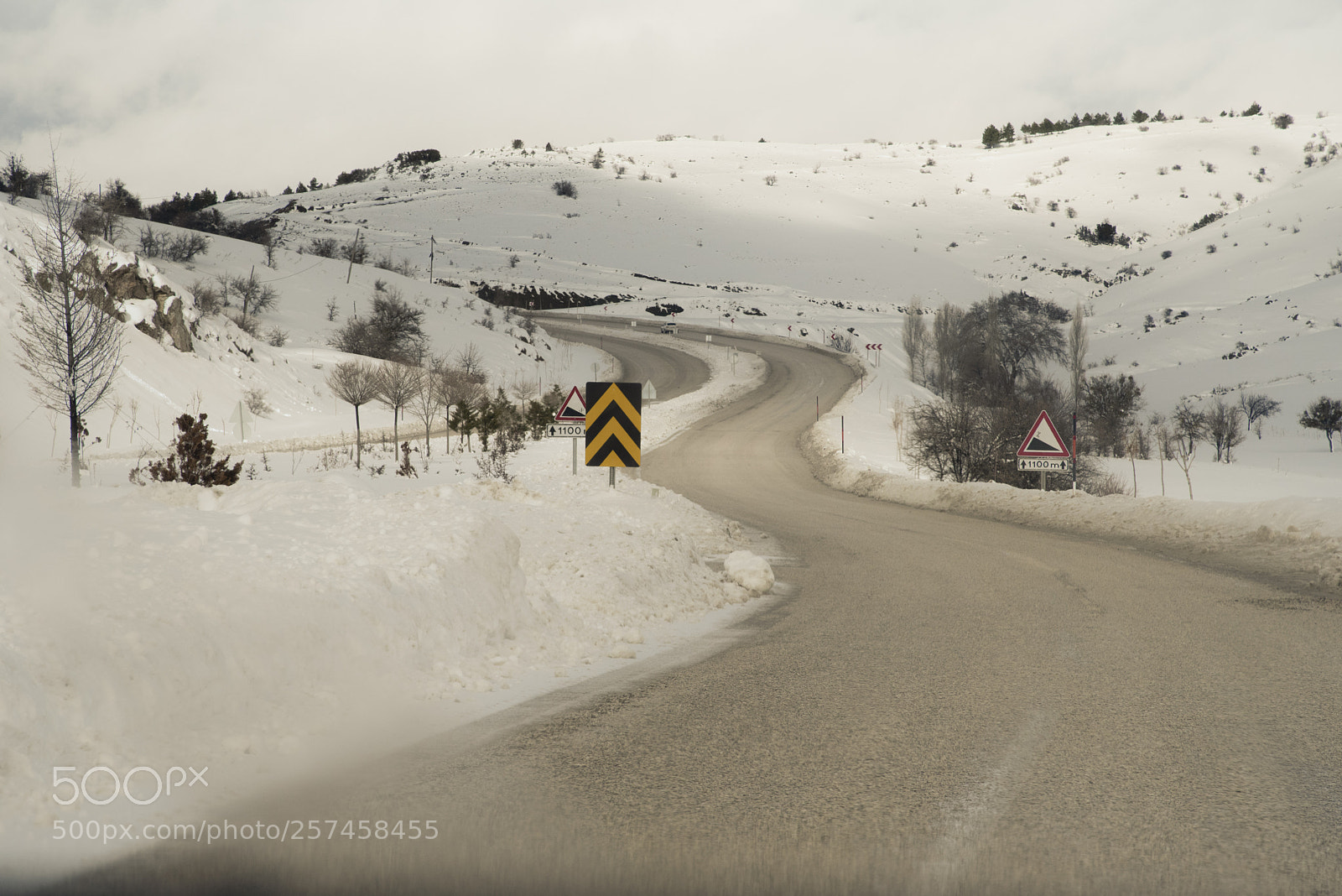 Nikon D750 sample photo. Yollar photography