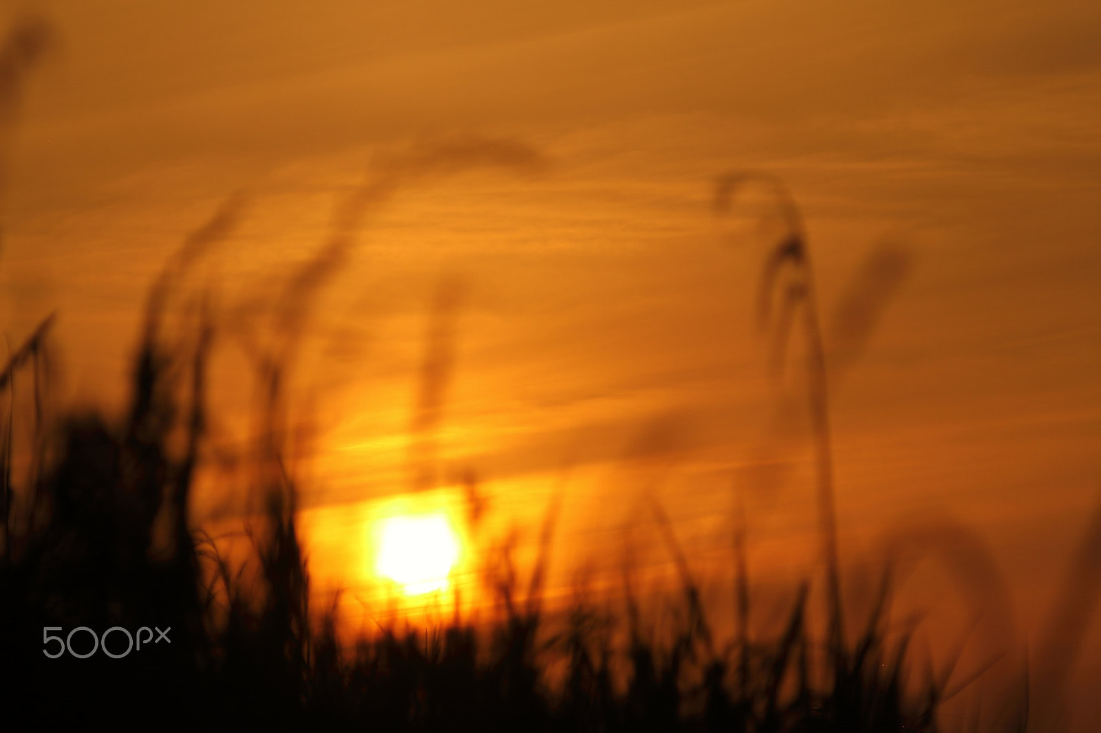 Canon EOS 7D + Canon EF 50mm F1.8 II sample photo. Sunset photography
