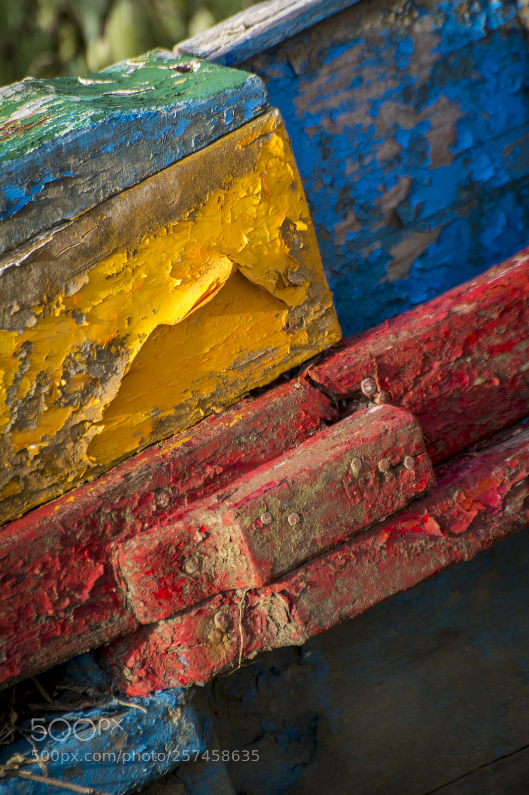 Nikon D7100 sample photo. Colour photography