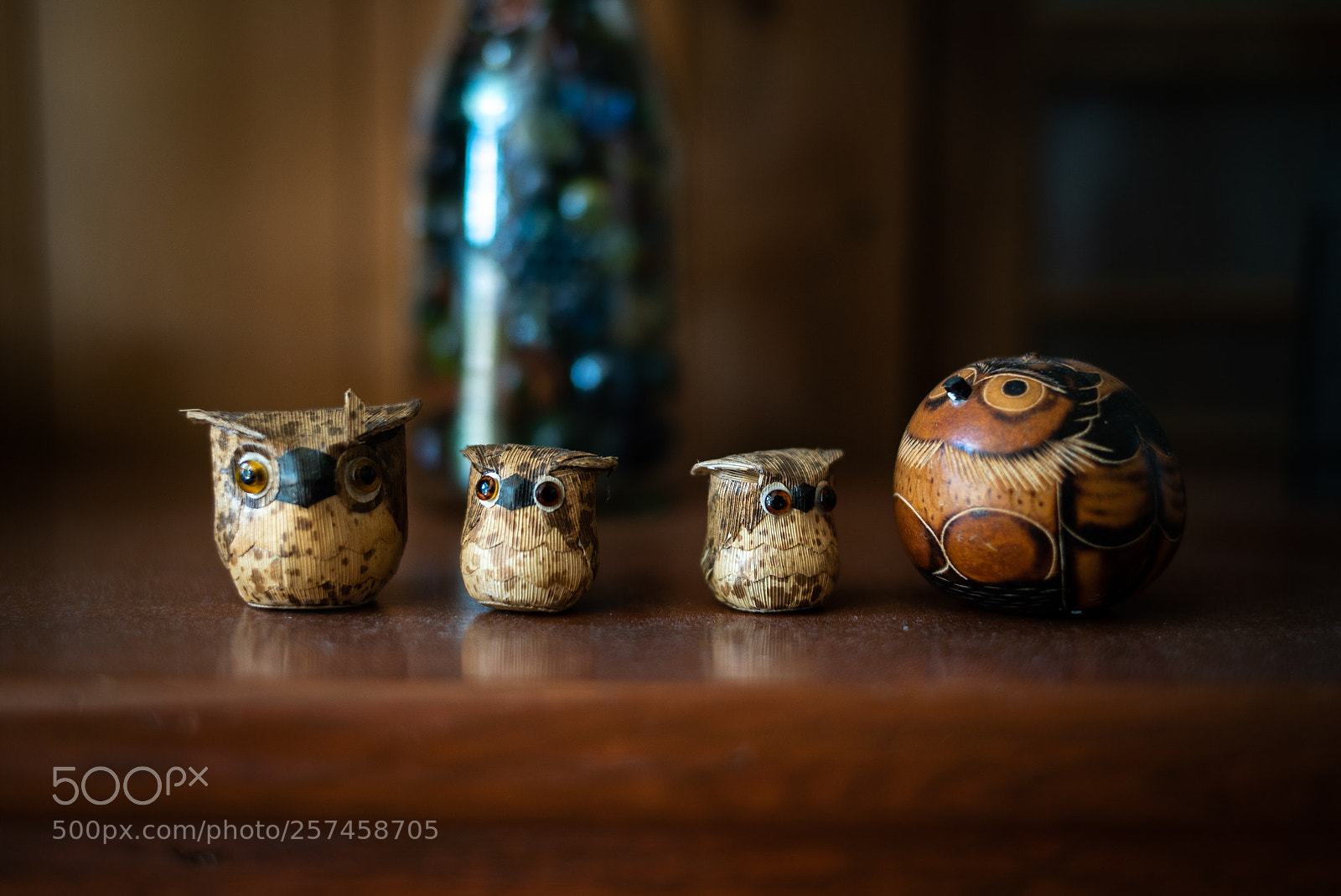 Sony a7S sample photo. Owl photography
