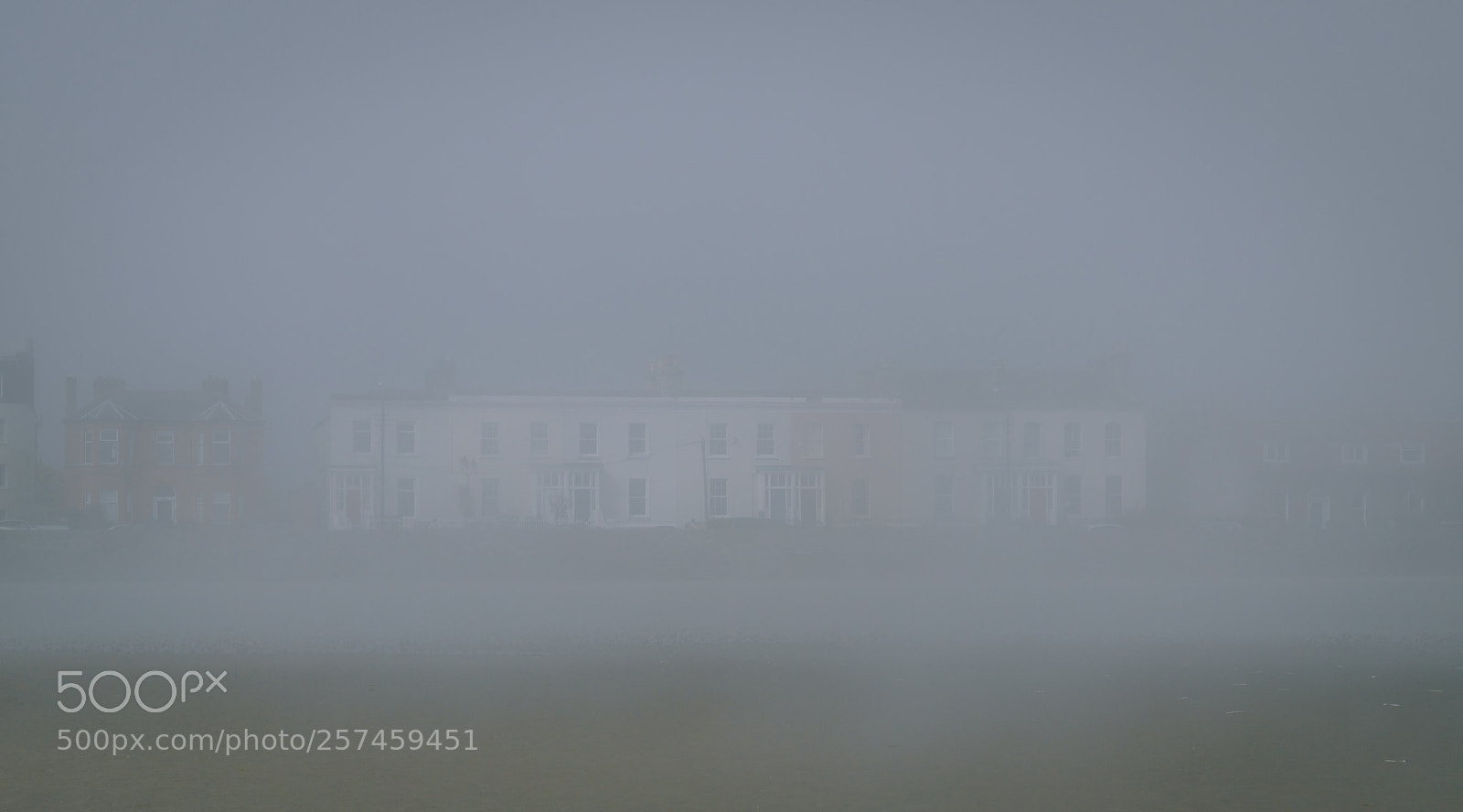 Nikon D800 sample photo. The fog photography