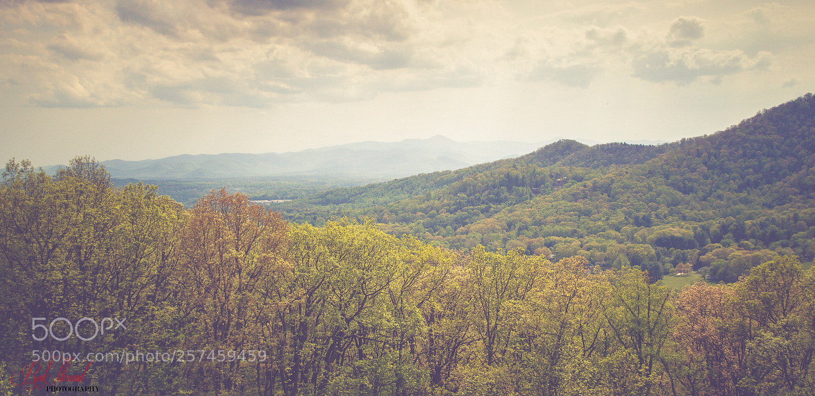 Nikon D3200 sample photo. Great smoky mountains photography