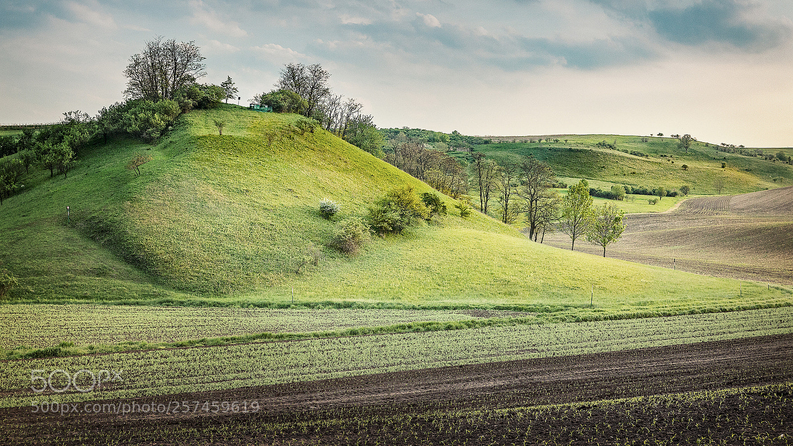 Canon EOS 70D sample photo. Green hill photography