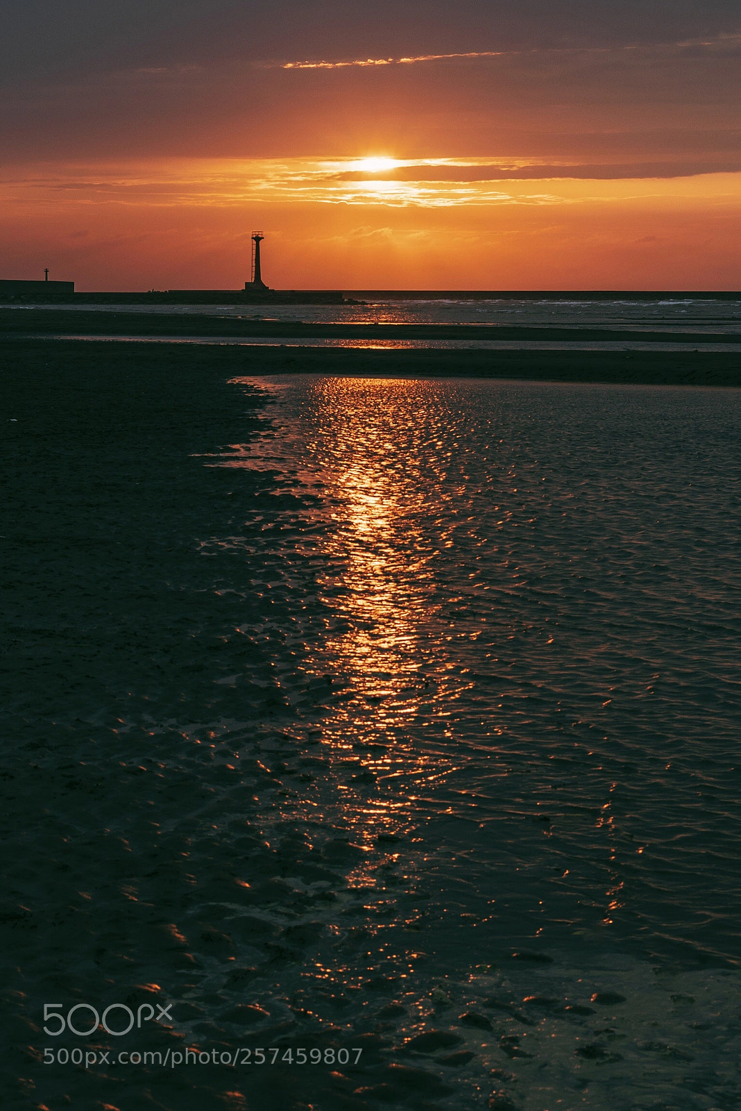 Sony a7R II sample photo. Enjoy the moment photography