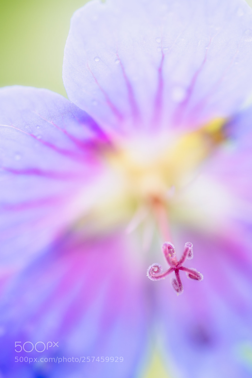 Nikon D750 sample photo. Bearbeitet photography