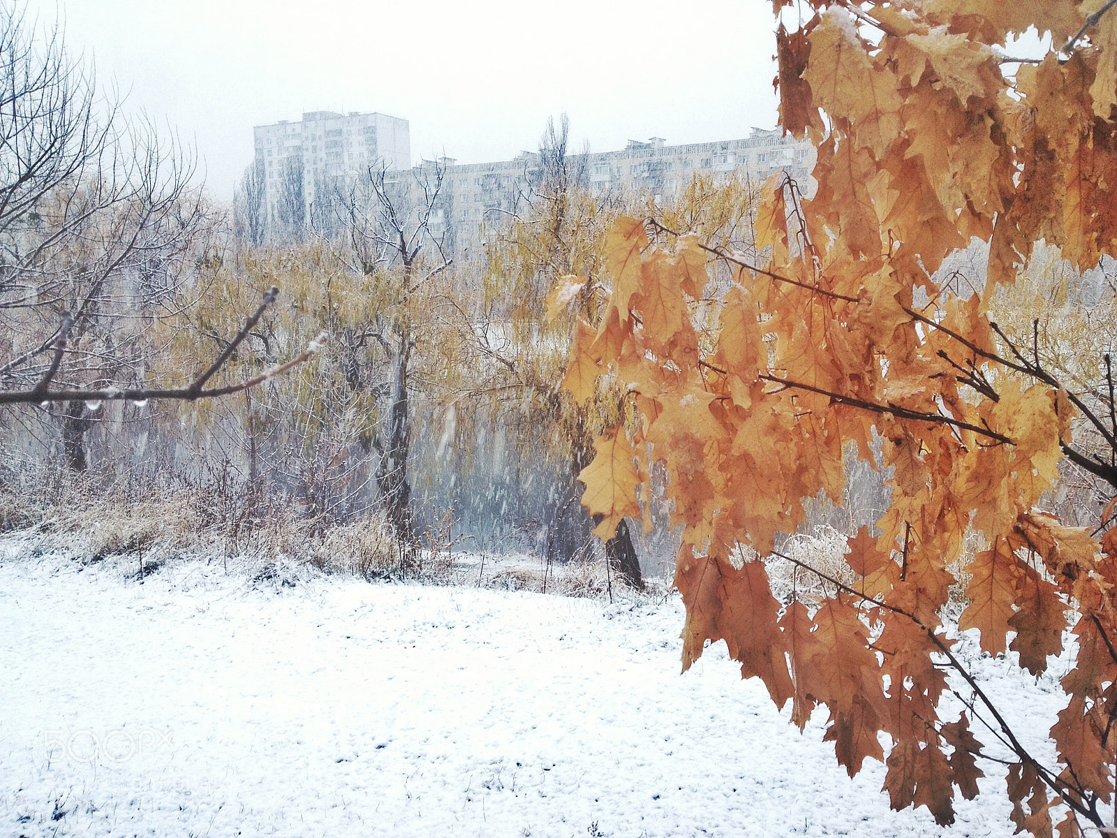 Apple iPhone 4S sample photo. осень зимой / autumn in winter photography