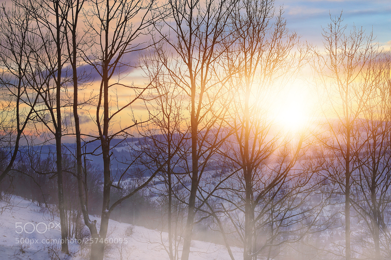 Canon EOS 6D sample photo. Foggy winter morning in photography