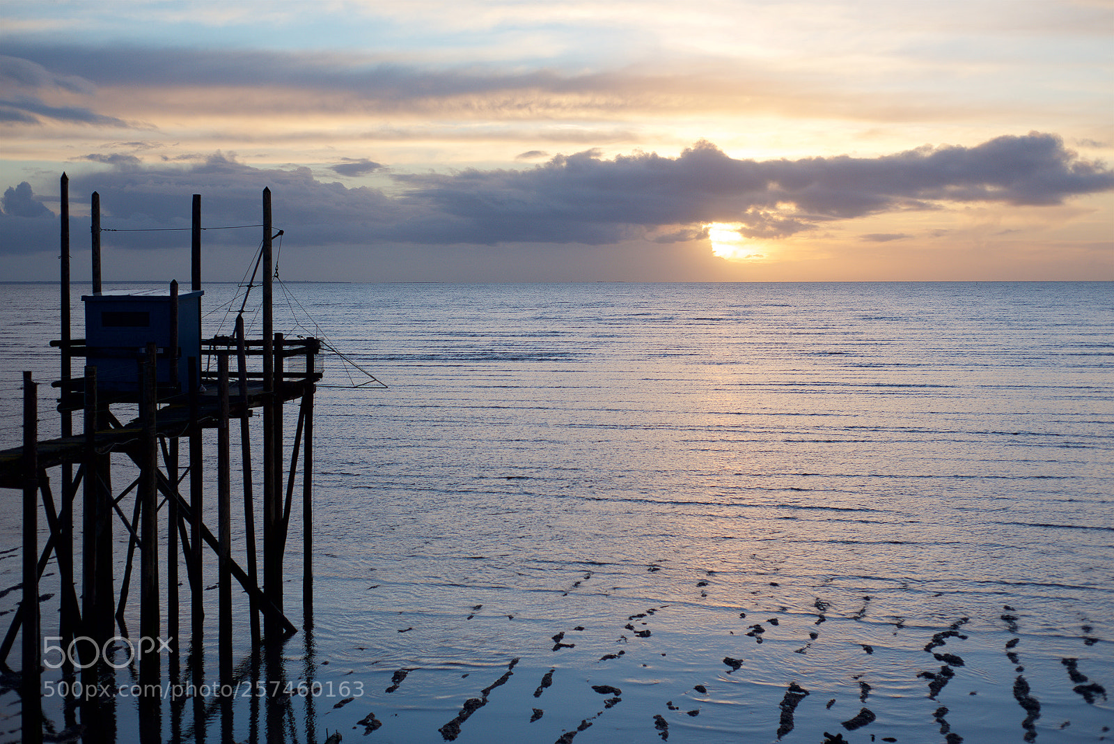 Nikon D800 sample photo. Blue atmosphere photography