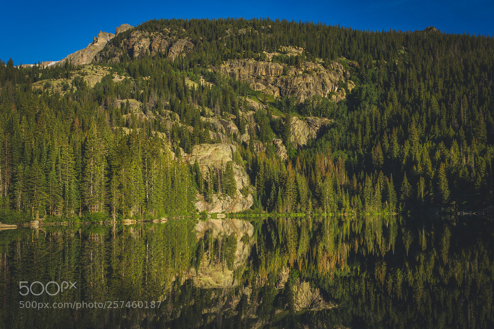 Canon EOS 600D (Rebel EOS T3i / EOS Kiss X5) sample photo. Bear lake reflections photography