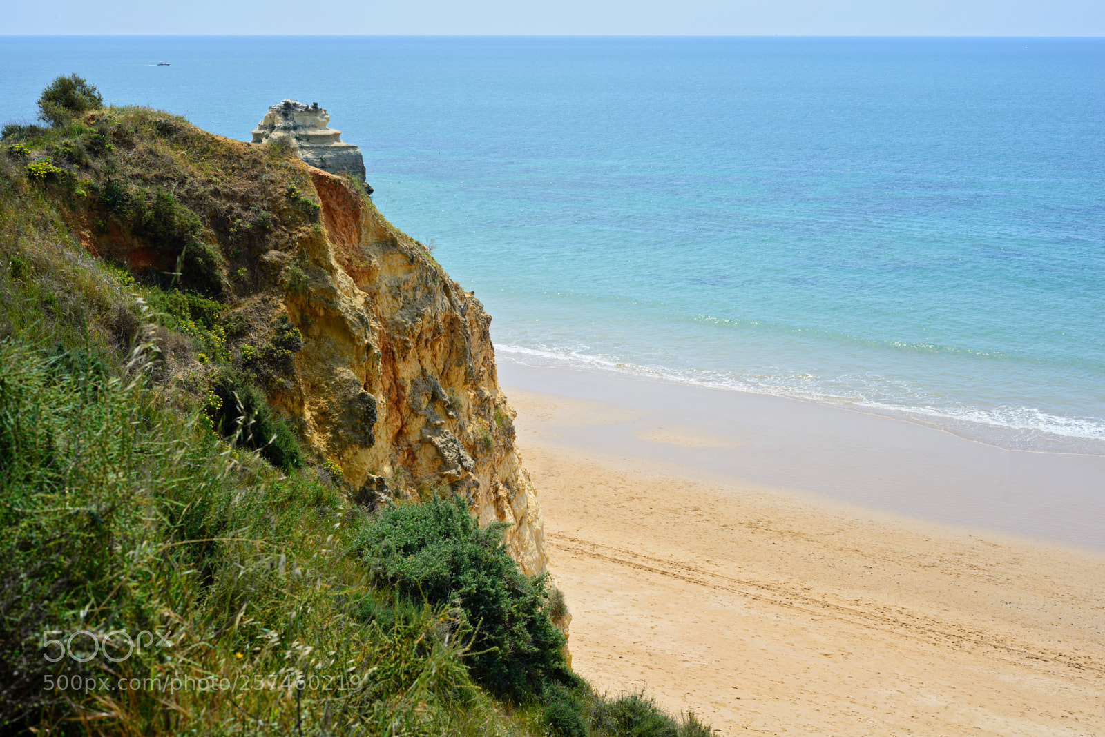 Nikon D600 sample photo. A view of a photography