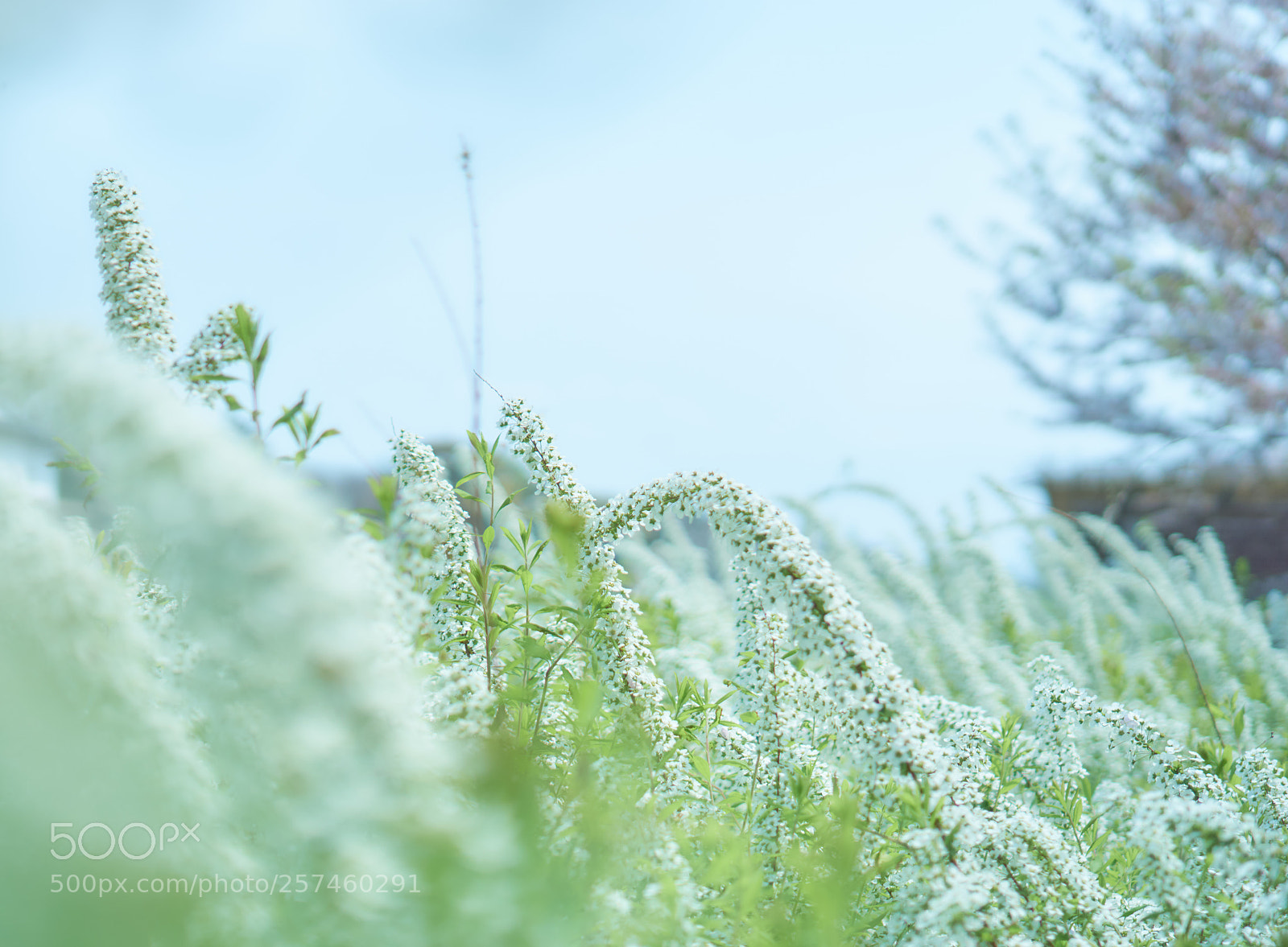 Sony a6000 sample photo. Untitled photography
