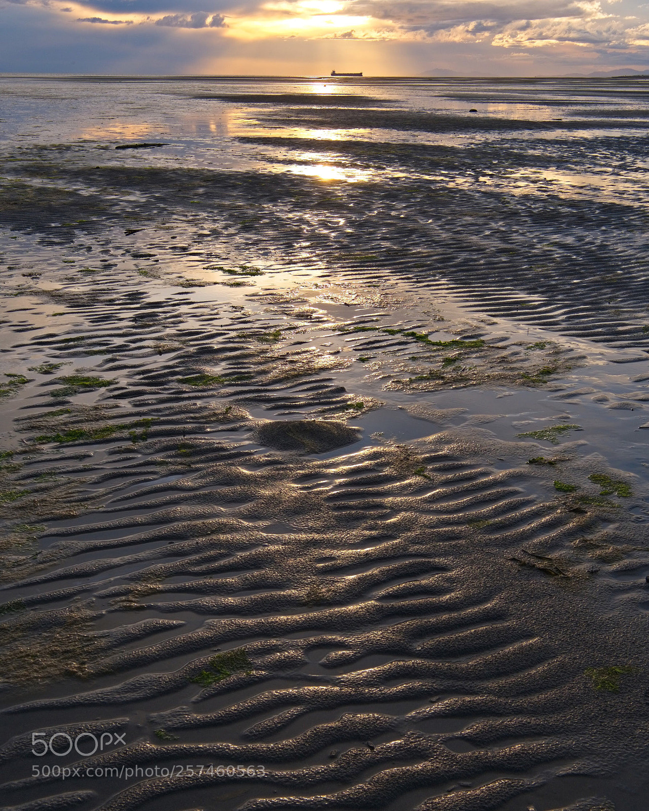 Fujifilm X-T2 sample photo. Sunset  photography