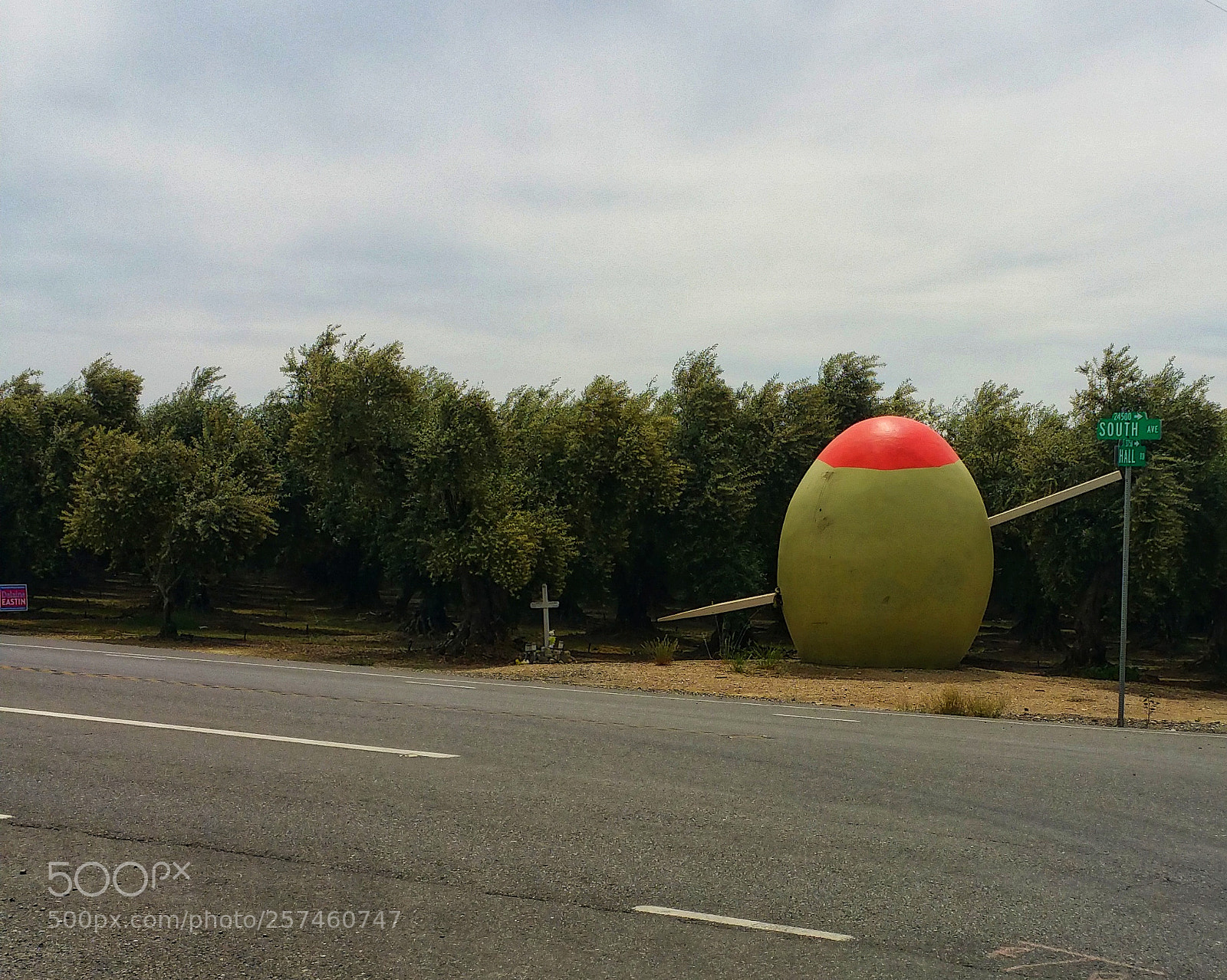 Samsung Galaxy Note4 sample photo. Giant olive photography