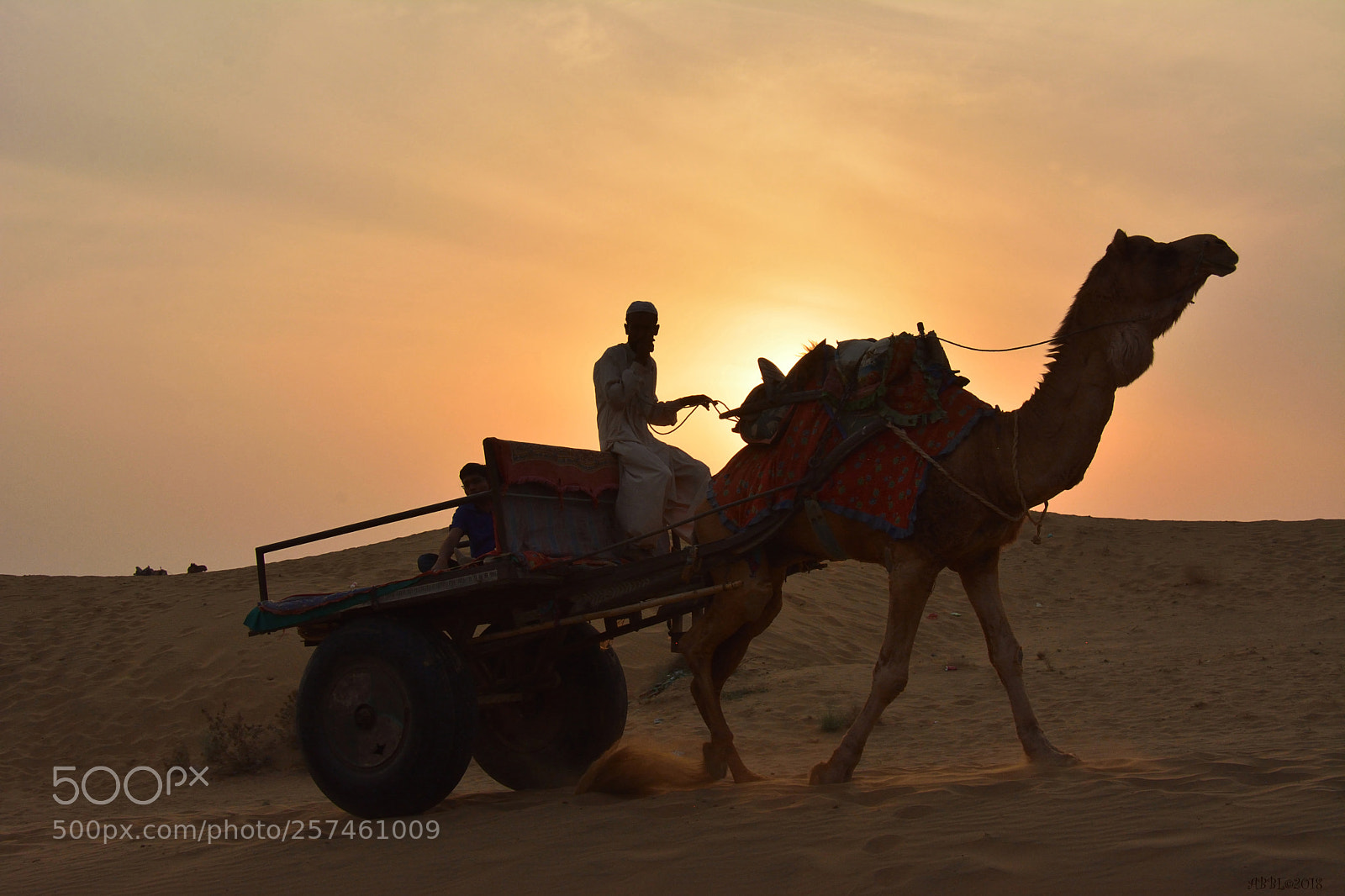 Nikon D7100 sample photo. At sunset in the photography