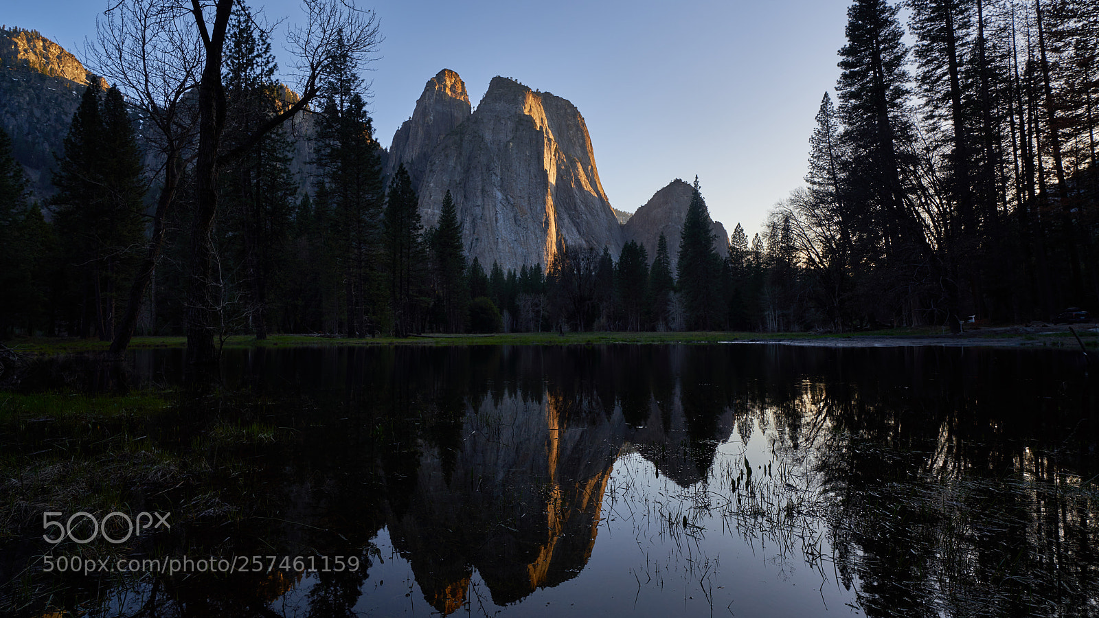 Sony a7R III sample photo. Yosemite reflections photography
