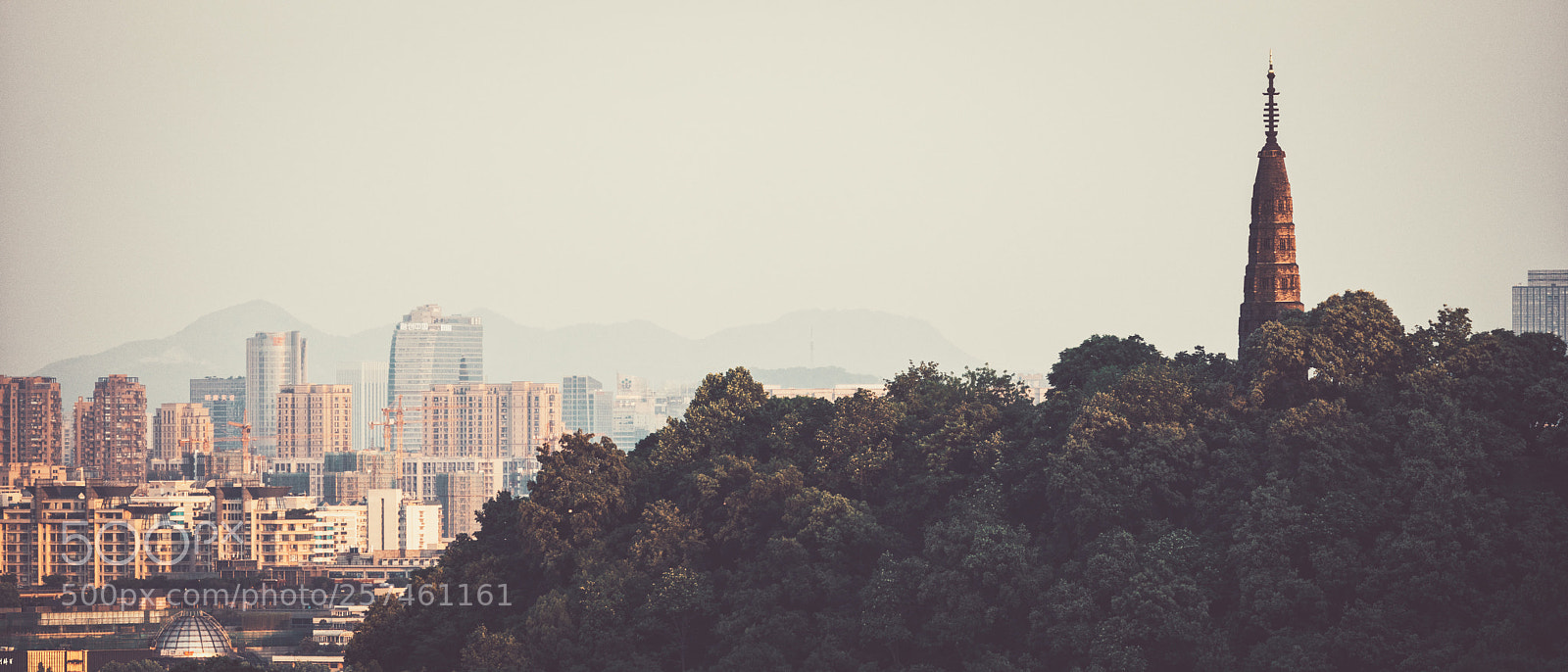 Sony a7R III sample photo. 保俶塔 photography
