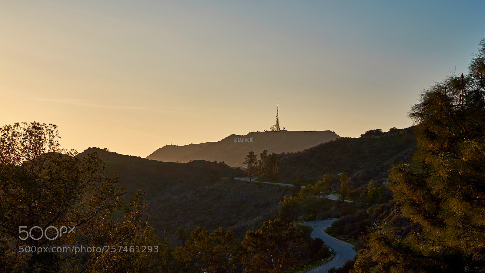Sony a7R III sample photo. The long and winding photography